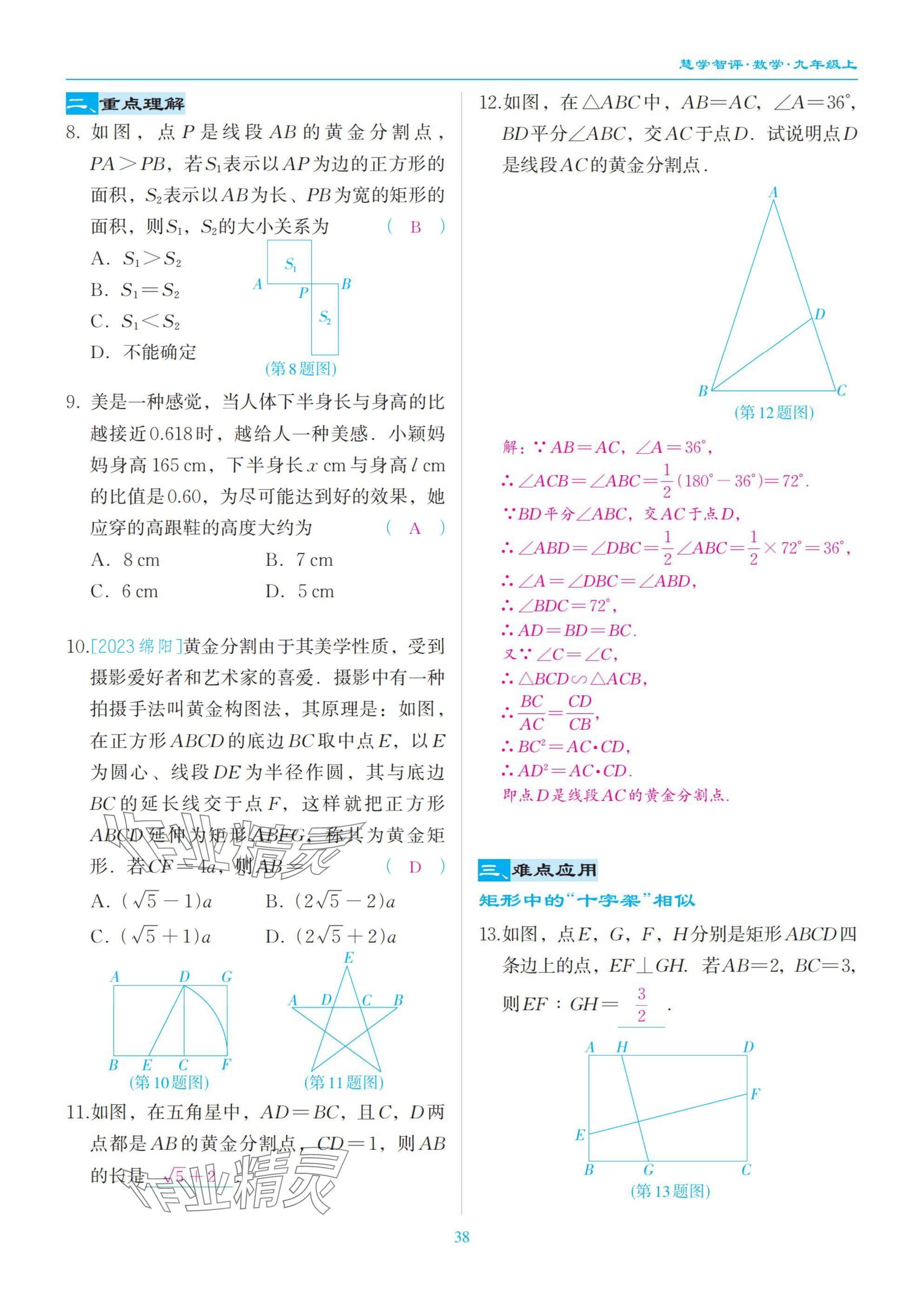 2025年慧學智評九年級數學上冊北師大版 參考答案第38頁