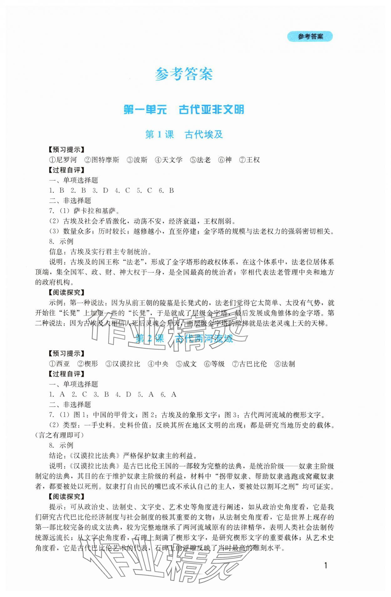 2025年新课程实践与探究丛书九年级历史上册人教版 第1页