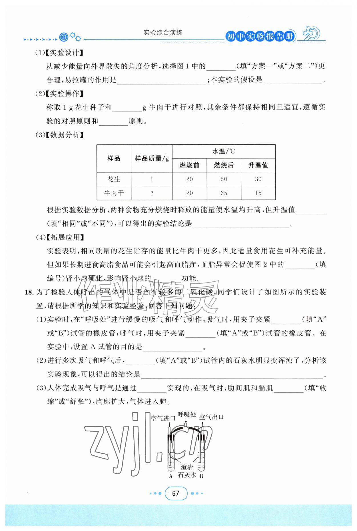 2026年实验报告册四川教育出版社八年级生物上册济南版&nbsp;第1页