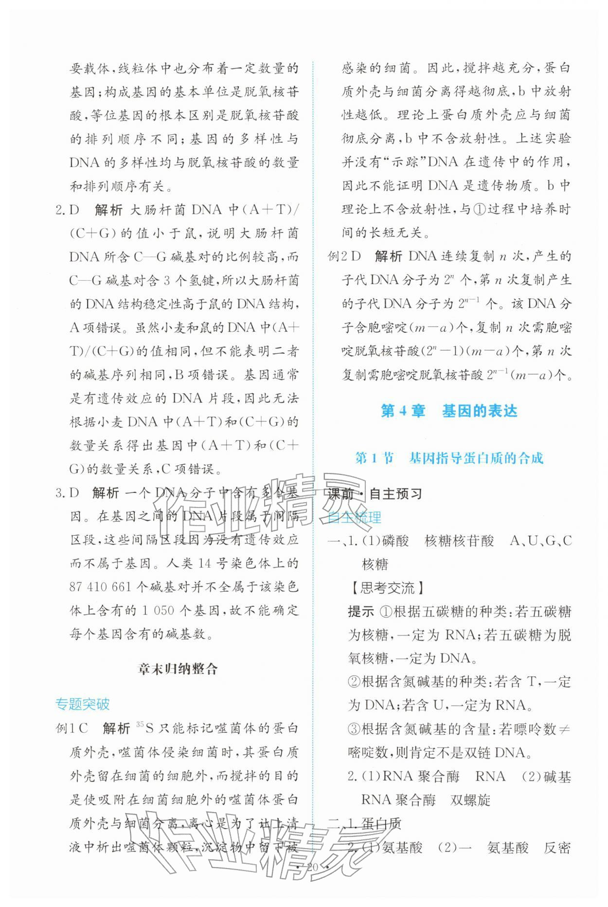 2026年能力培养与测试高中生物必修2(已禁用勿选)人教版&nbsp;参考答案第19页