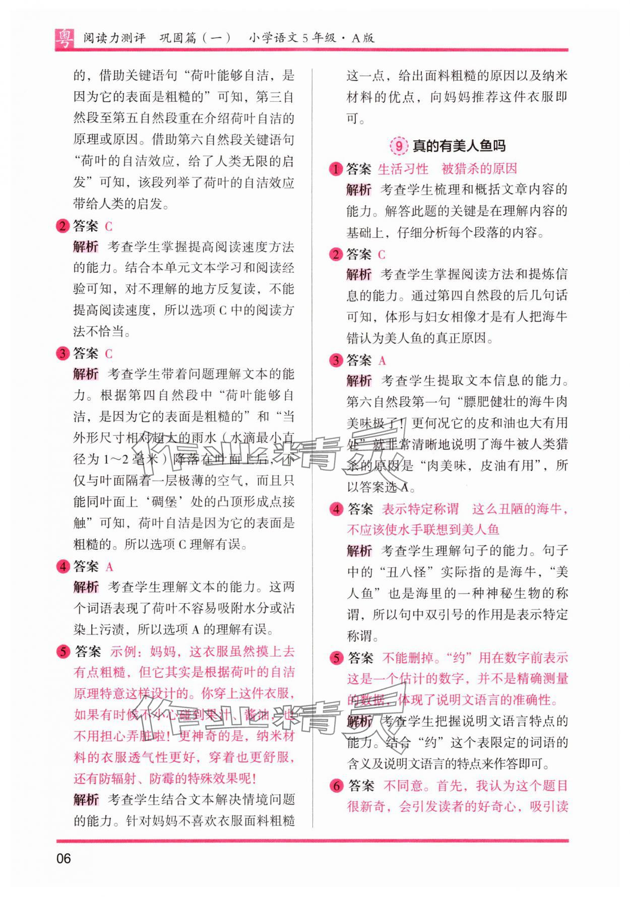 2025年木頭馬閱讀力測評小學(xué)語文五年級人教版培優(yōu)篇A版廣東專版 第6頁
