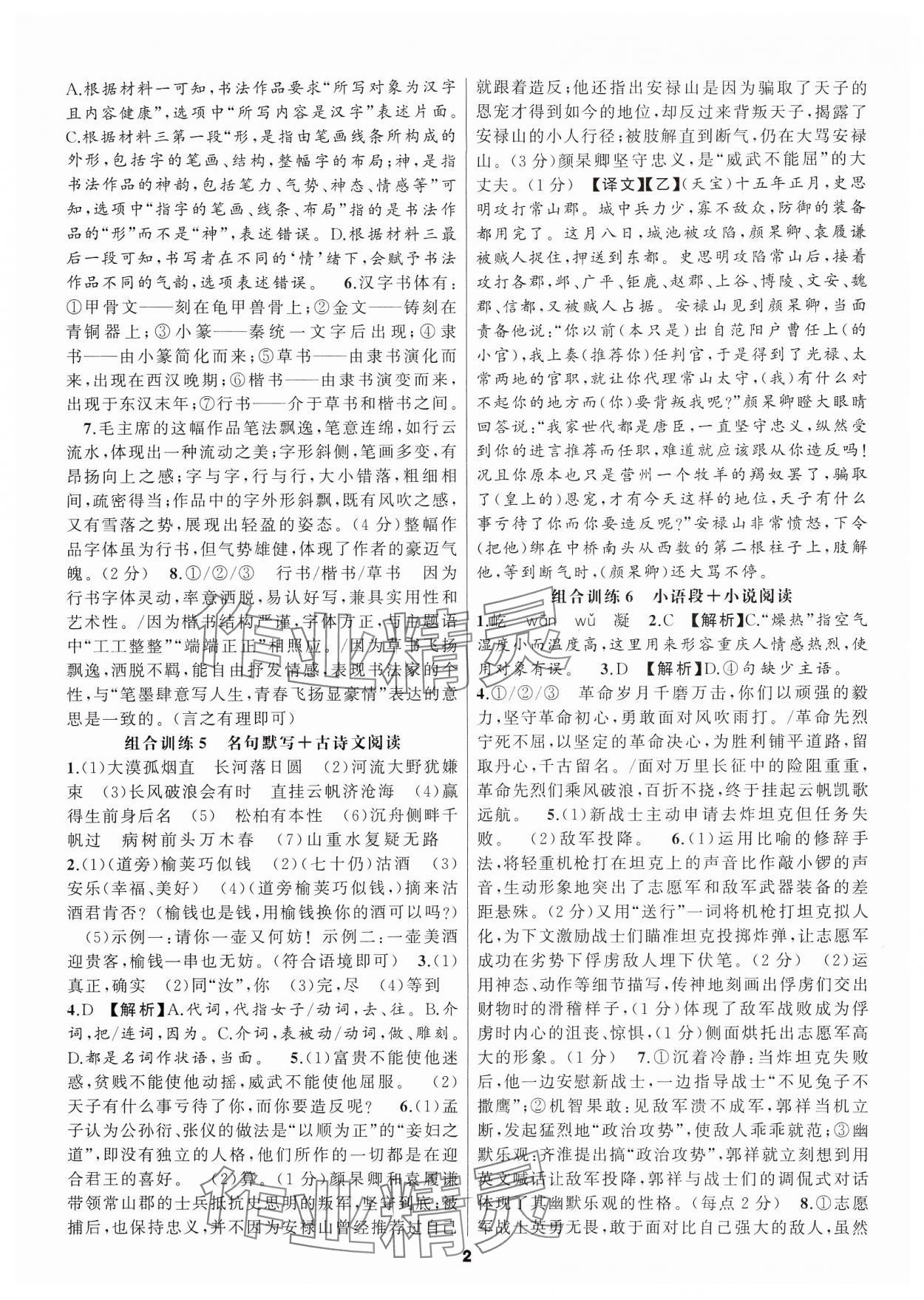 2024年语文花开现代文阅读九年级 参考答案第2页