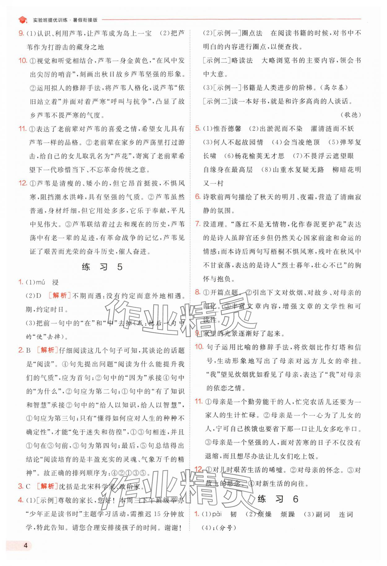 2025年實驗班提優(yōu)訓練暑假銜接版七升八年級語文人教版 第4頁