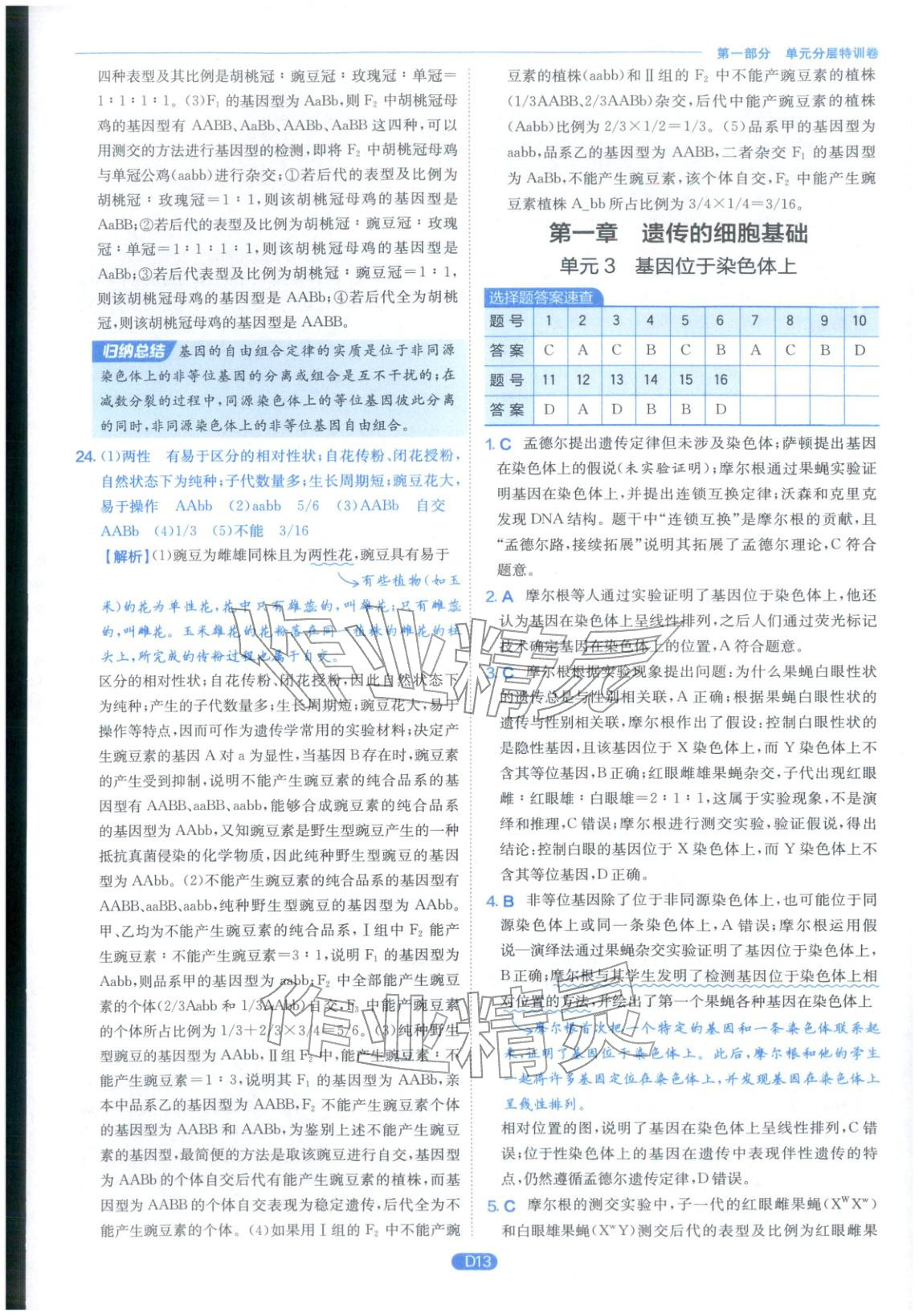 2026年實驗班全優(yōu)檢測卷高中生物必修第二冊蘇教版&nbsp;第13頁