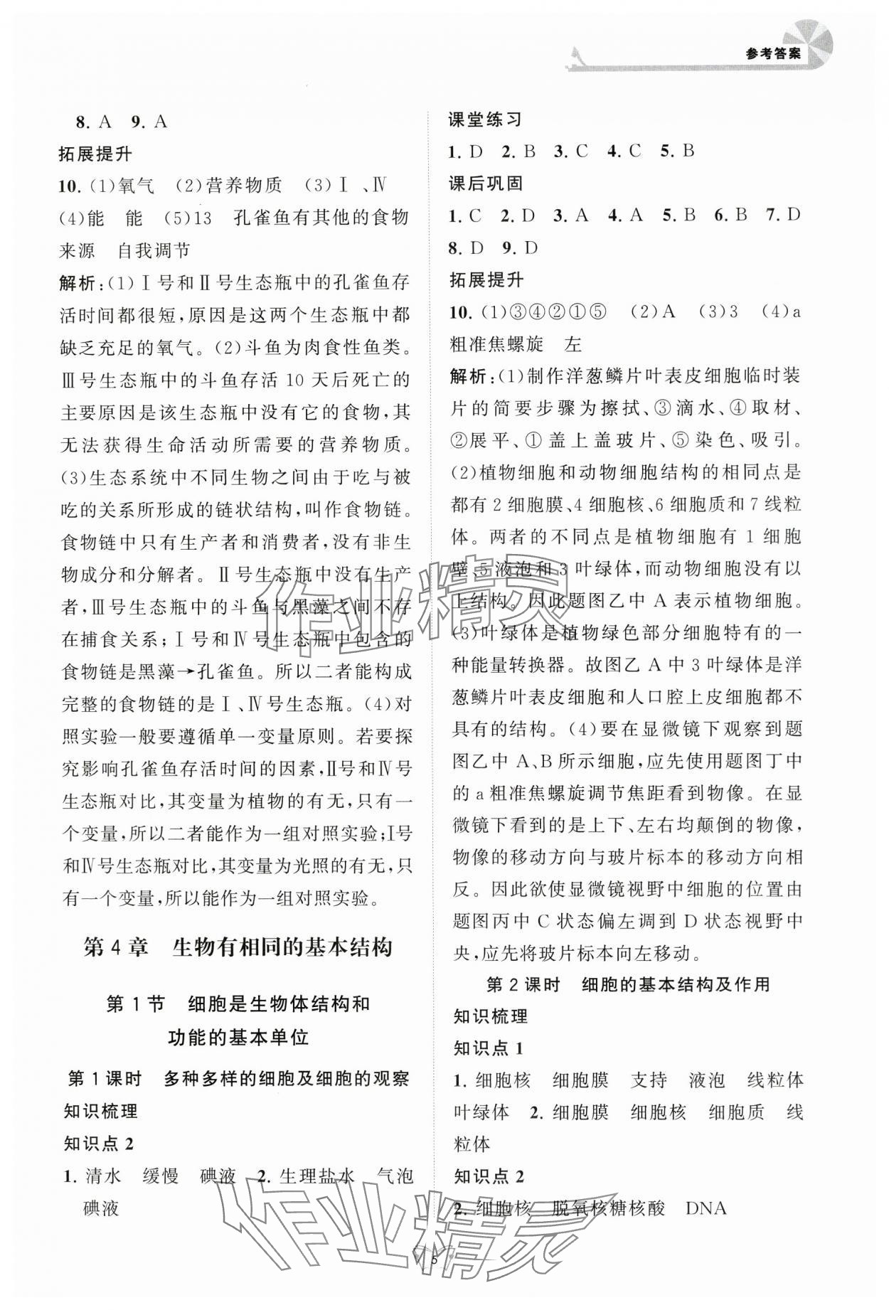 2024年創(chuàng)新課時作業(yè)本江蘇人民出版社七年級生物上冊蘇科版 第5頁