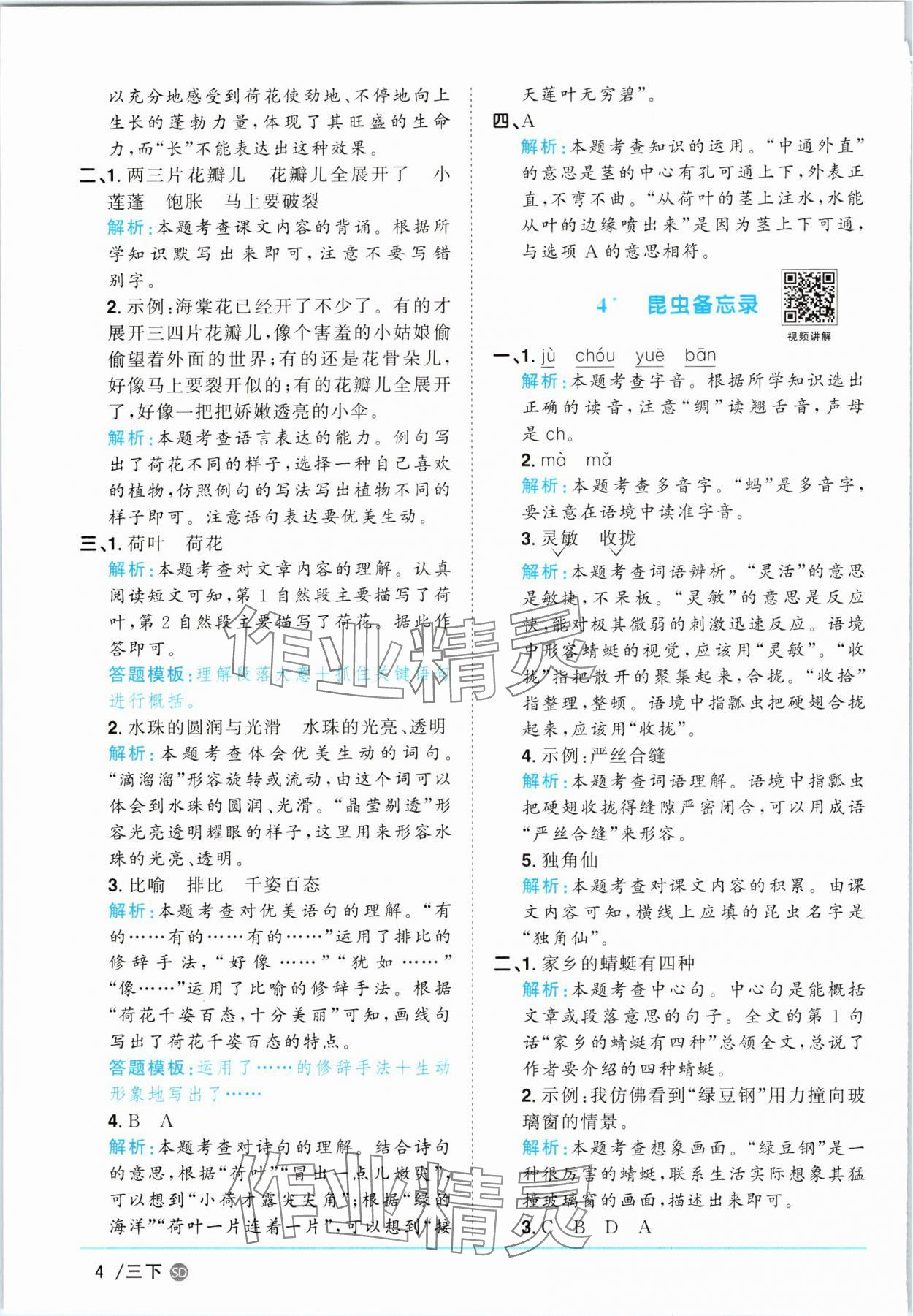 2025年阳光同学课时优化作业三年级语文下册人教版菏泽专版&nbsp;参考答案第4页