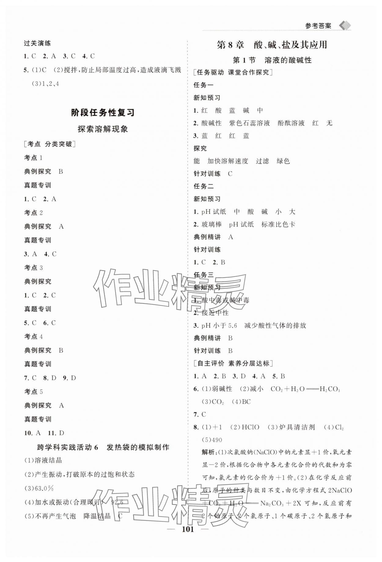 2025年新課程同步練習冊九年級化學下冊滬教版 第5頁