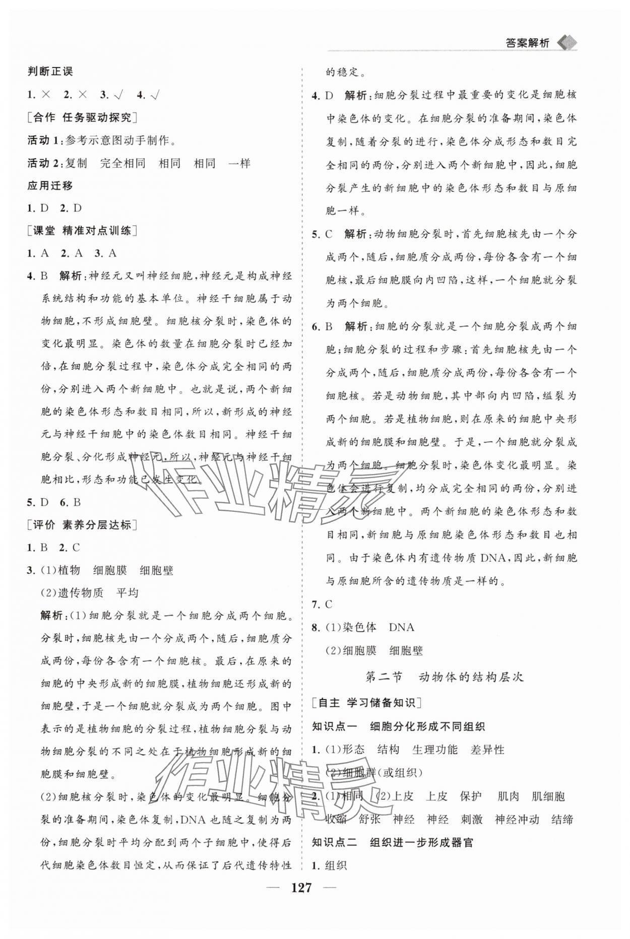 2025年新课程同步练习册七年级生物上册人教版&nbsp;第7页