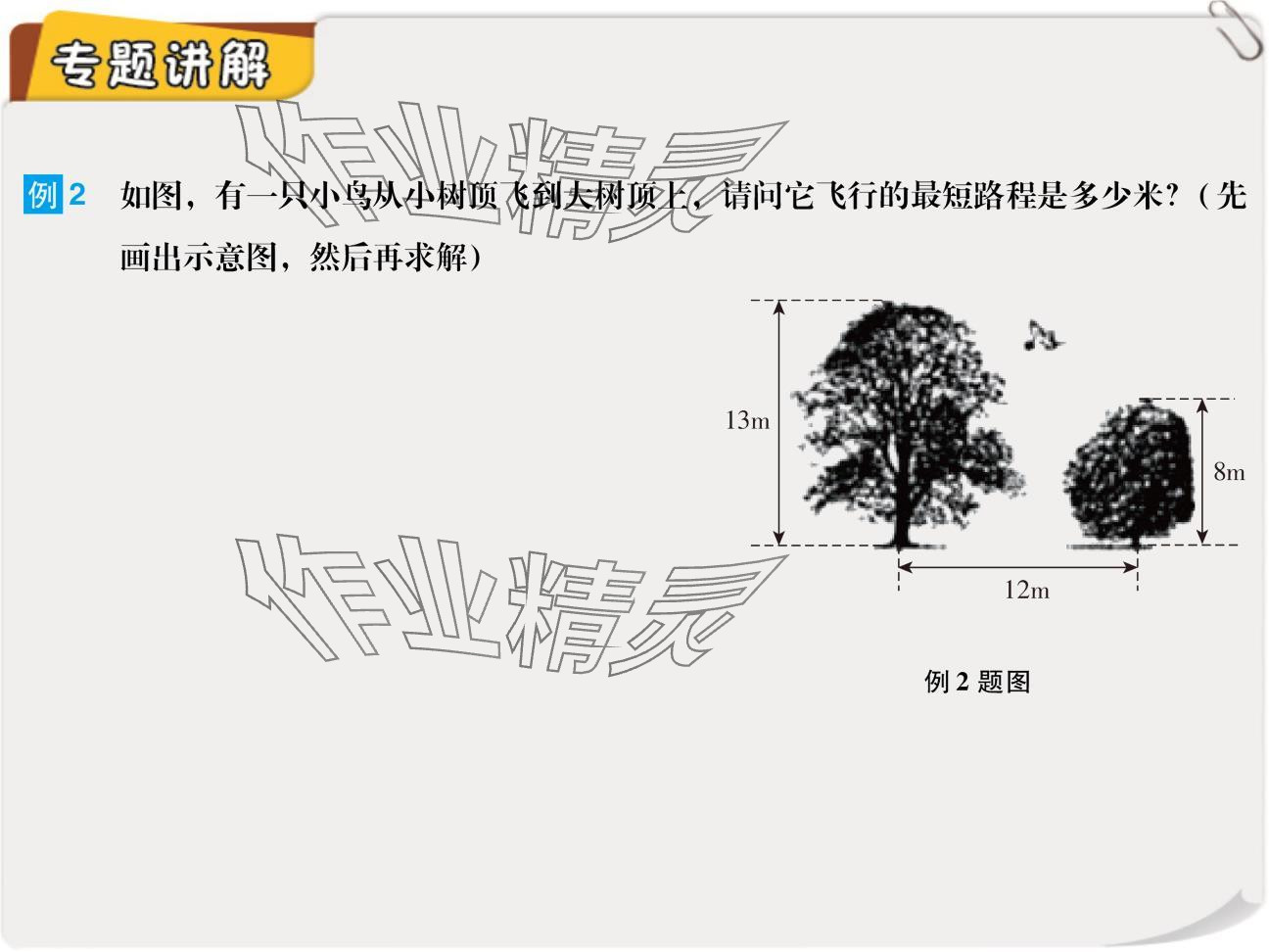 2024年复习直通车期末复习与假期作业八年级数学北师大版 参考答案第4页