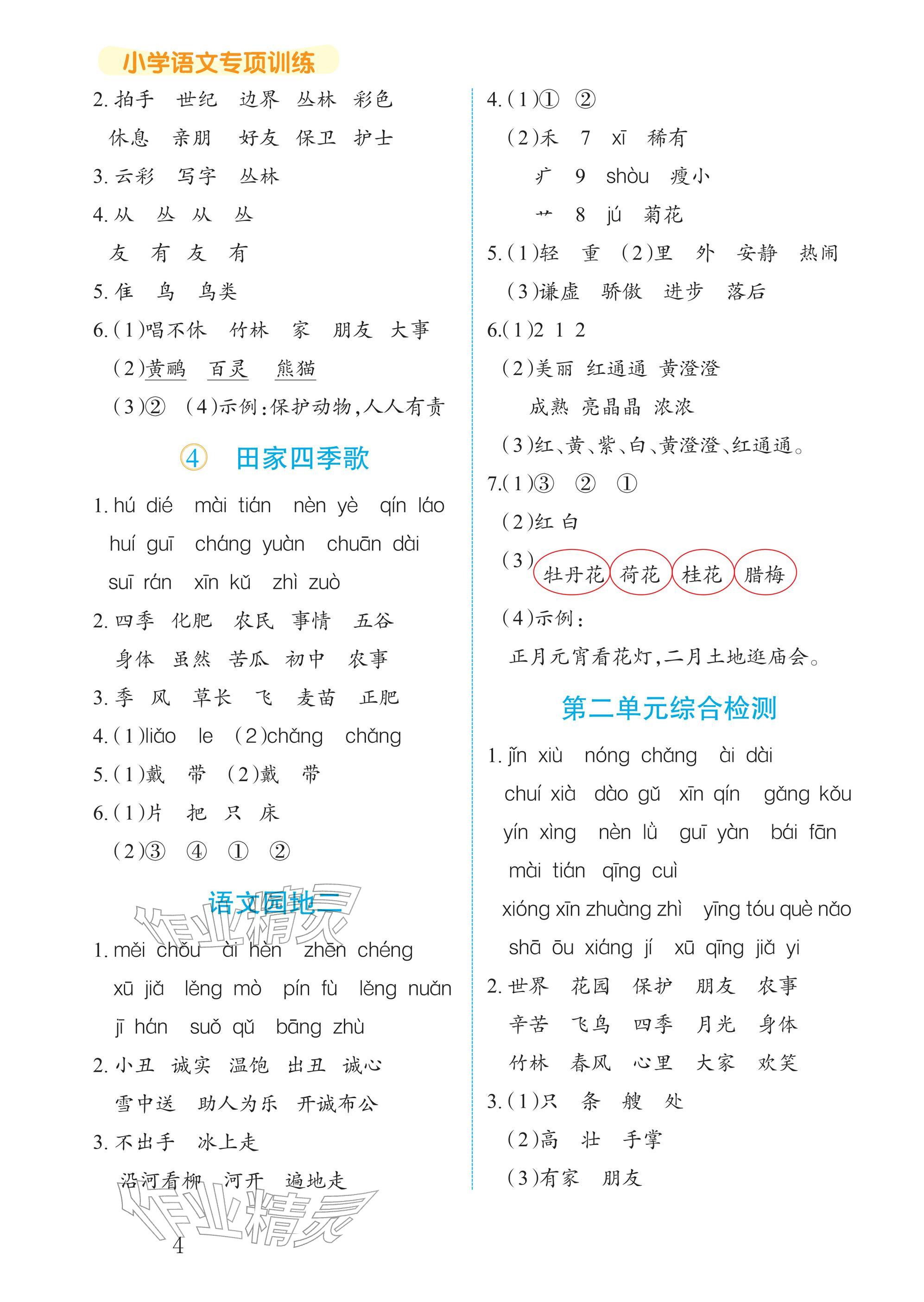 2025年语法专项训练二年级语文上册人教版 参考答案第4页