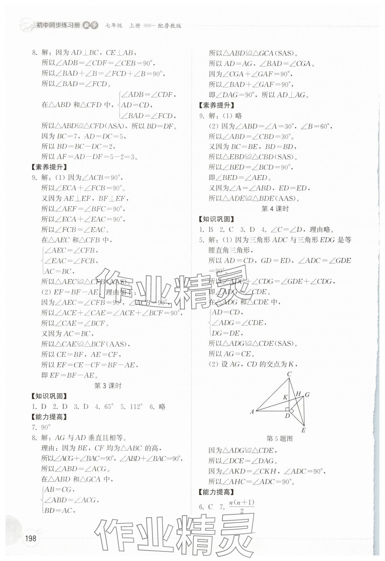 2025年同步练习册山东教育出版社七年级数学上册鲁教版五四制&nbsp;第4页
