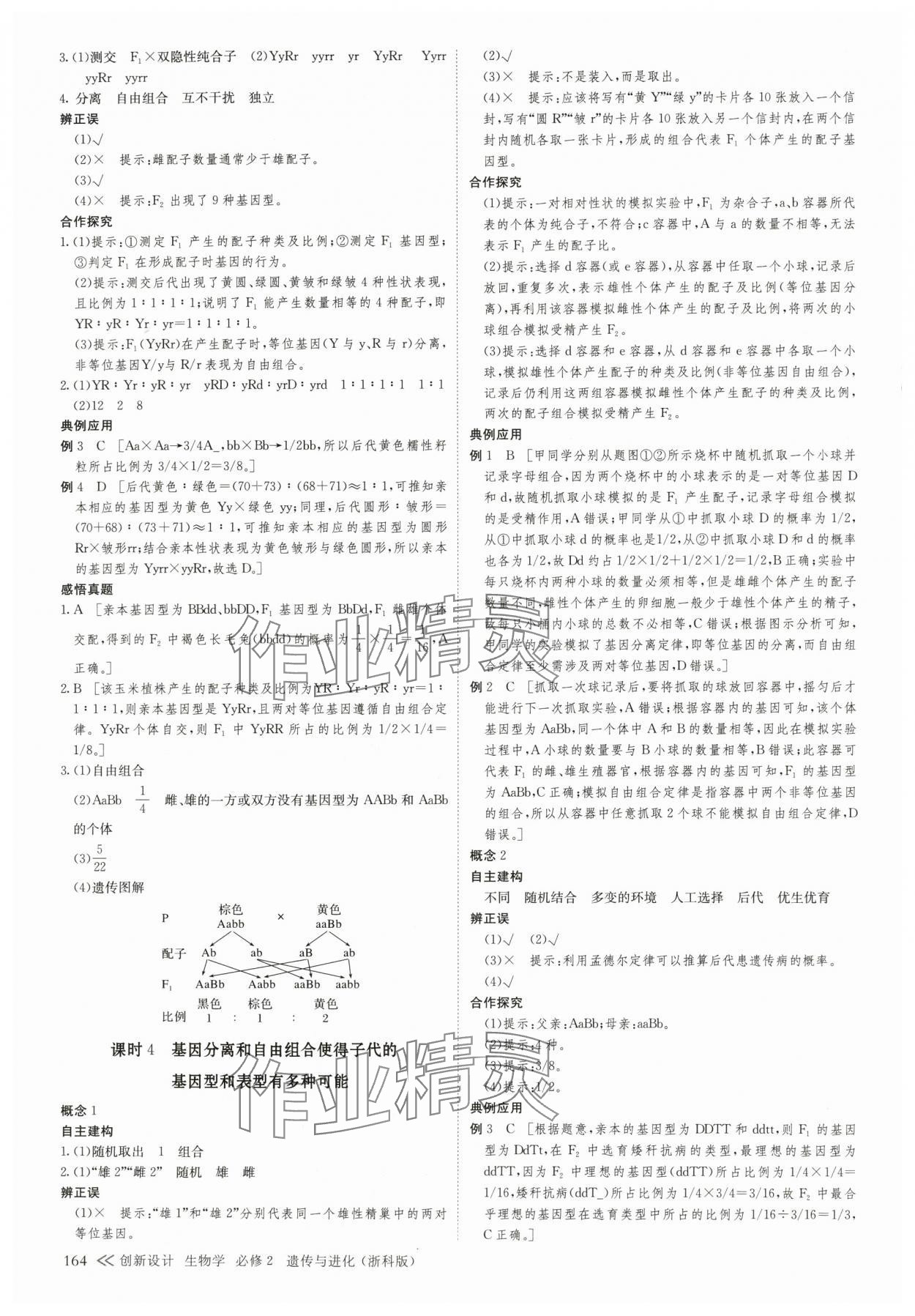 2025年創新設計高中生物必修2浙科版 第7頁