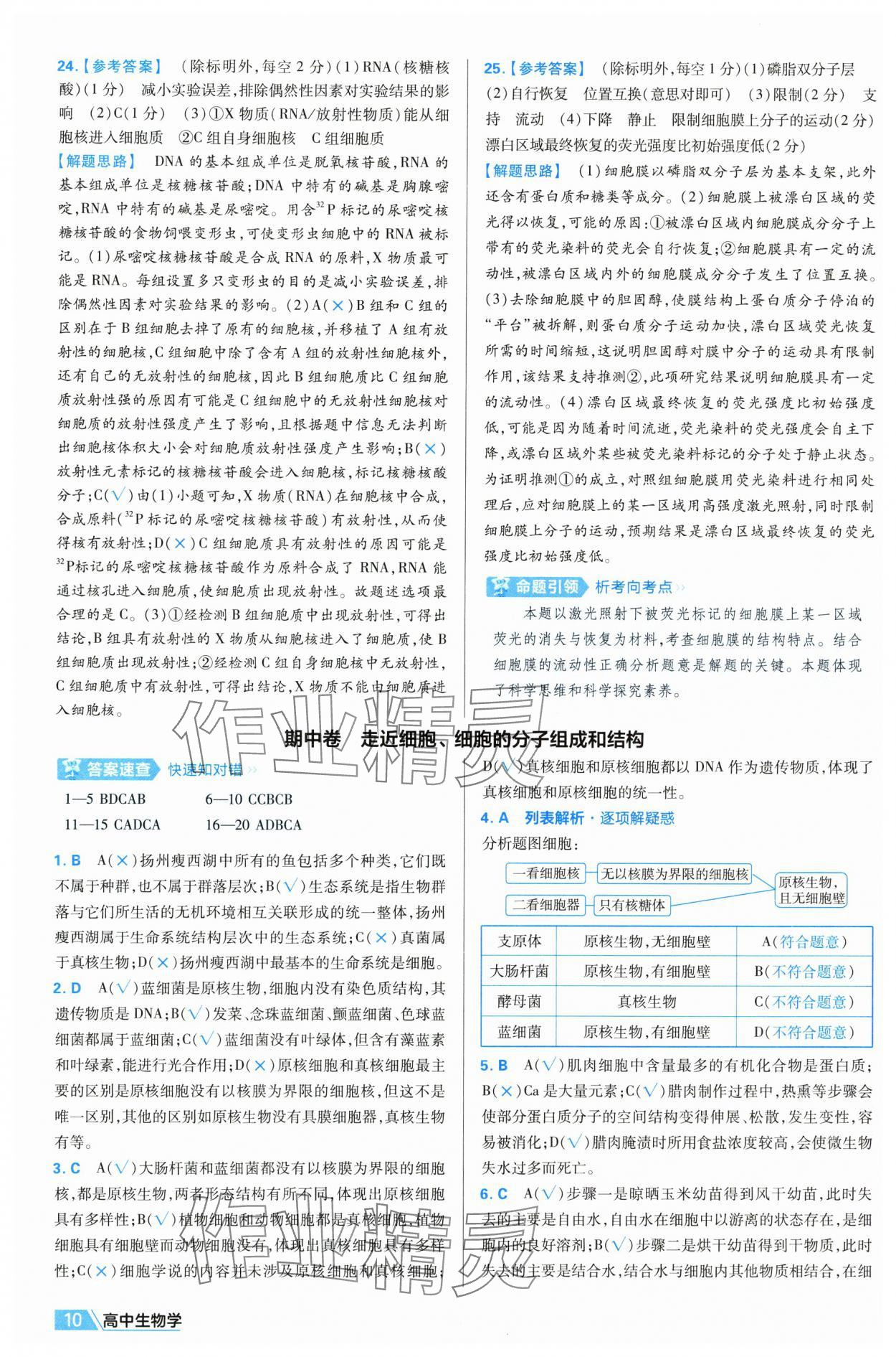 2025年金考卷名師名題單元雙測(cè)卷高中生物必修1人教版 第10頁(yè)