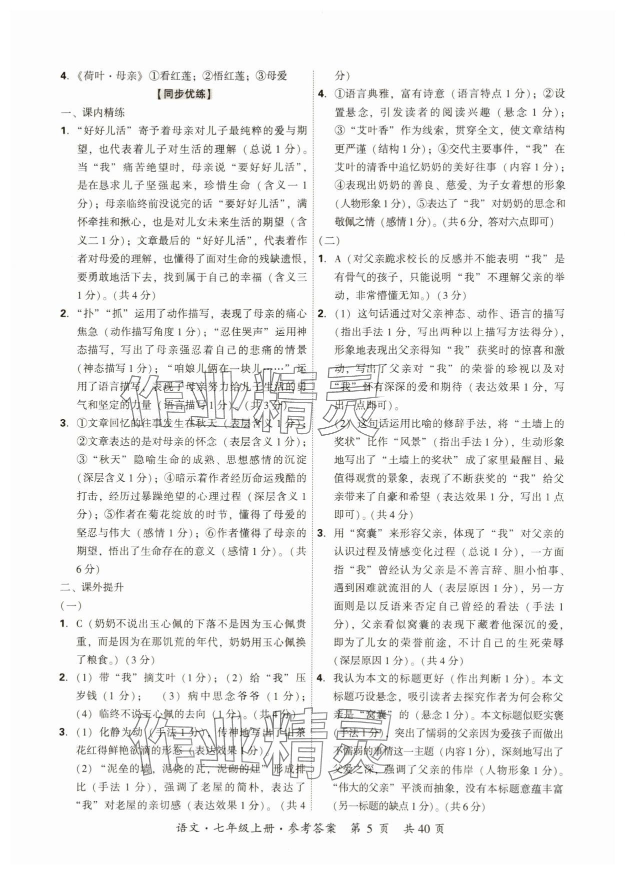 2024年單元優練七年級語文上冊人教版廣州專版 第5頁