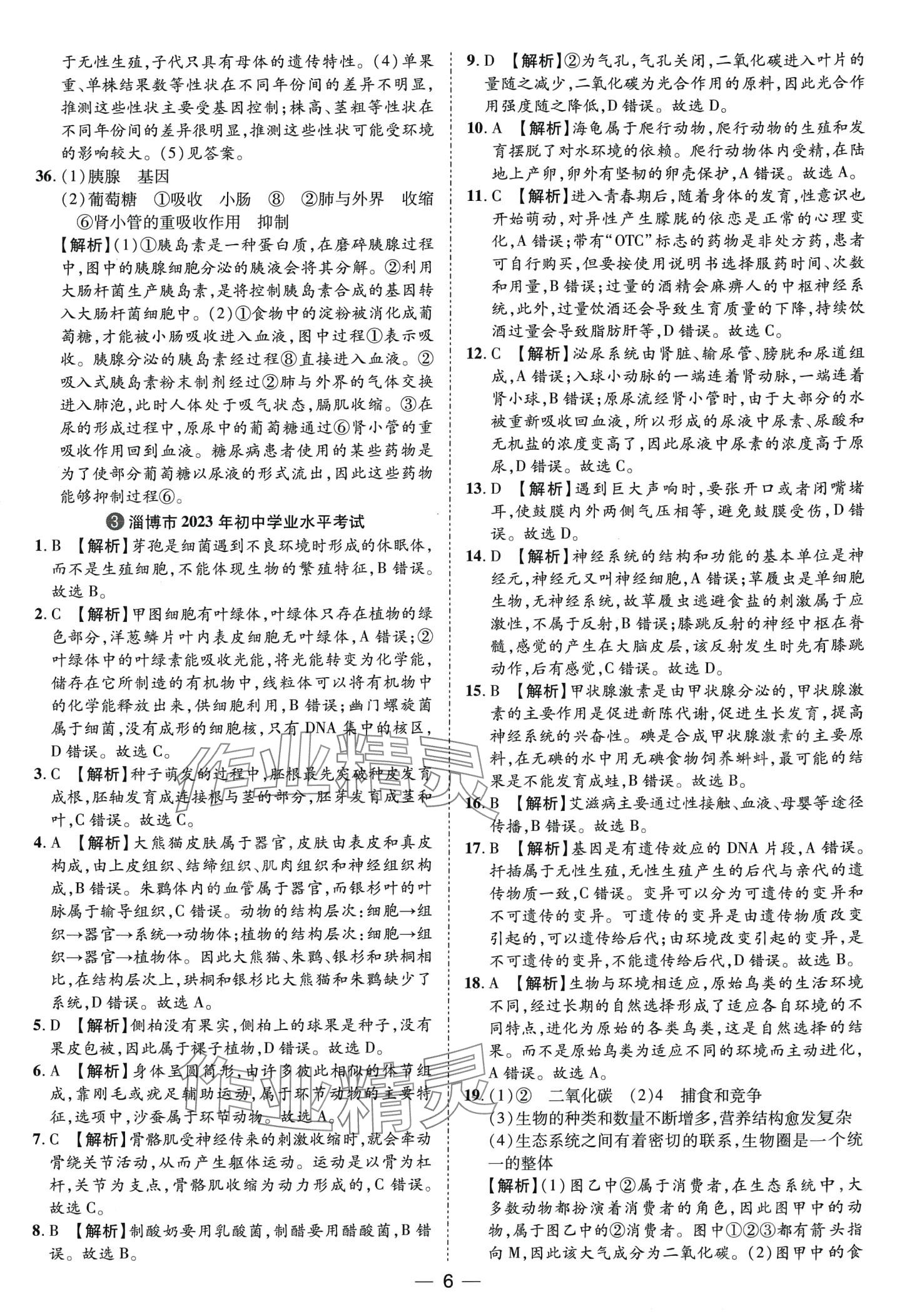 2024年鲁人泰斗中考必备中考试题汇编生物中考山东专版&nbsp;第6页