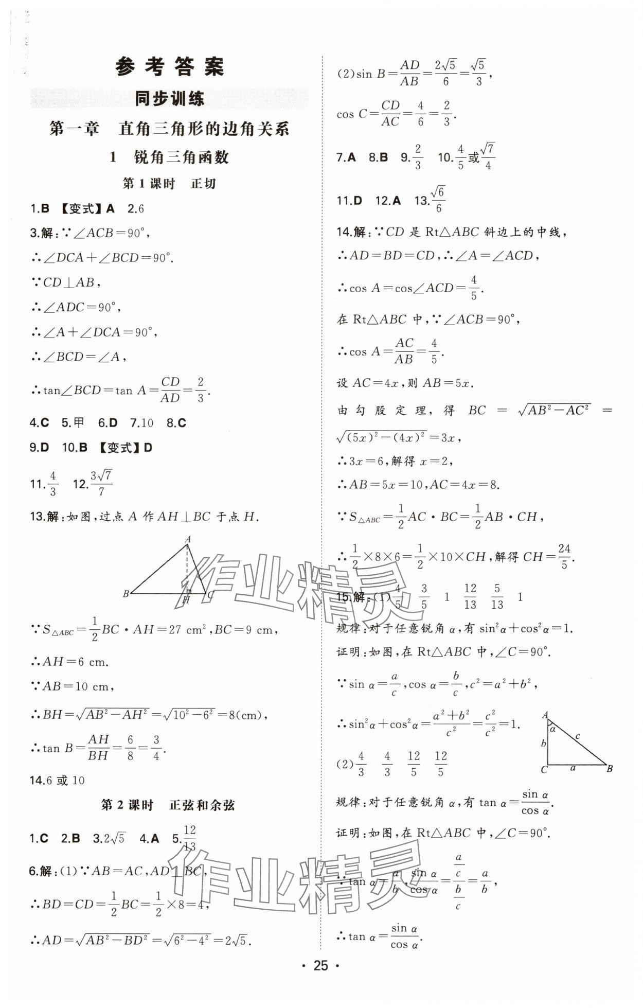 2025年一本同步訓(xùn)練九年級(jí)初中數(shù)學(xué)下冊(cè)北師大版 第1頁(yè)