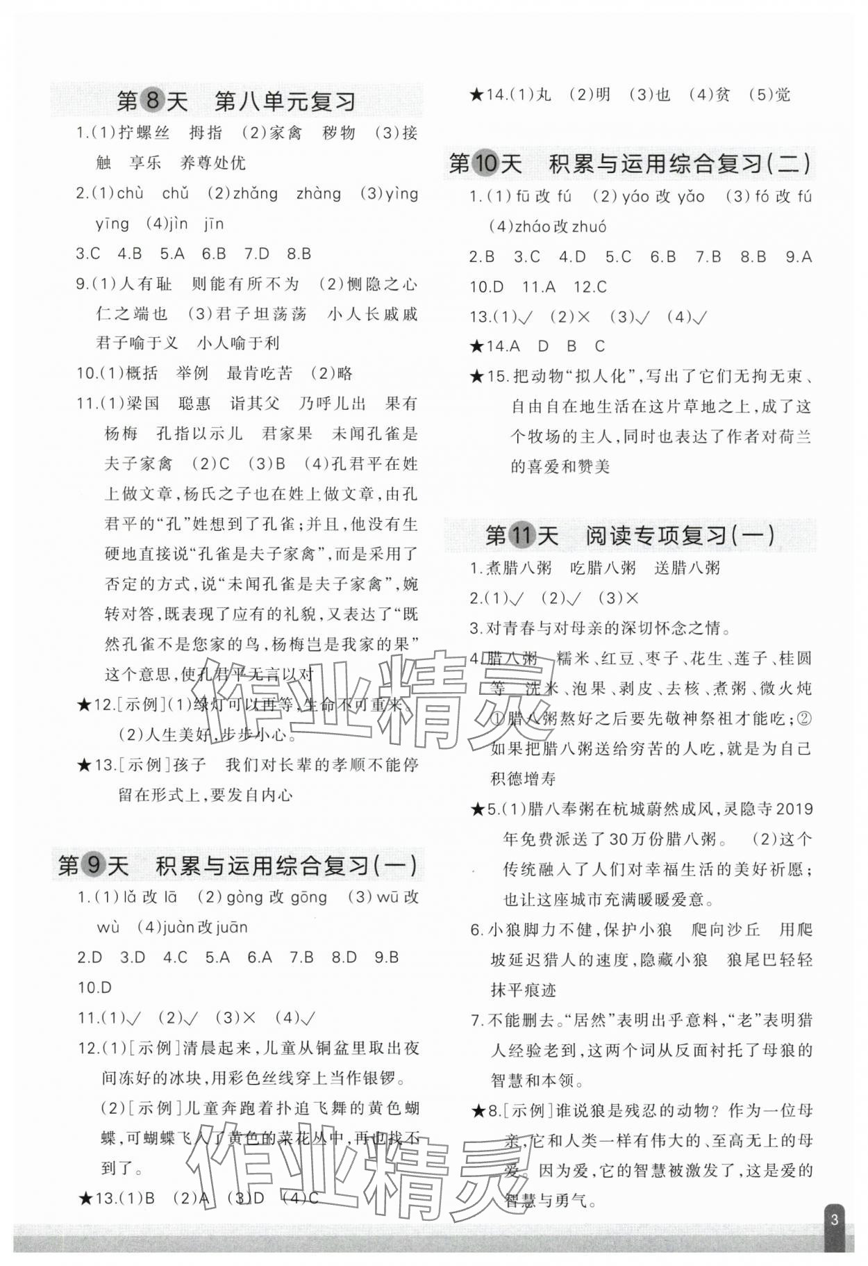 2025年核心素养天天练语文期末分项复习21天五年级下册人教版&nbsp;参考答案第3页
