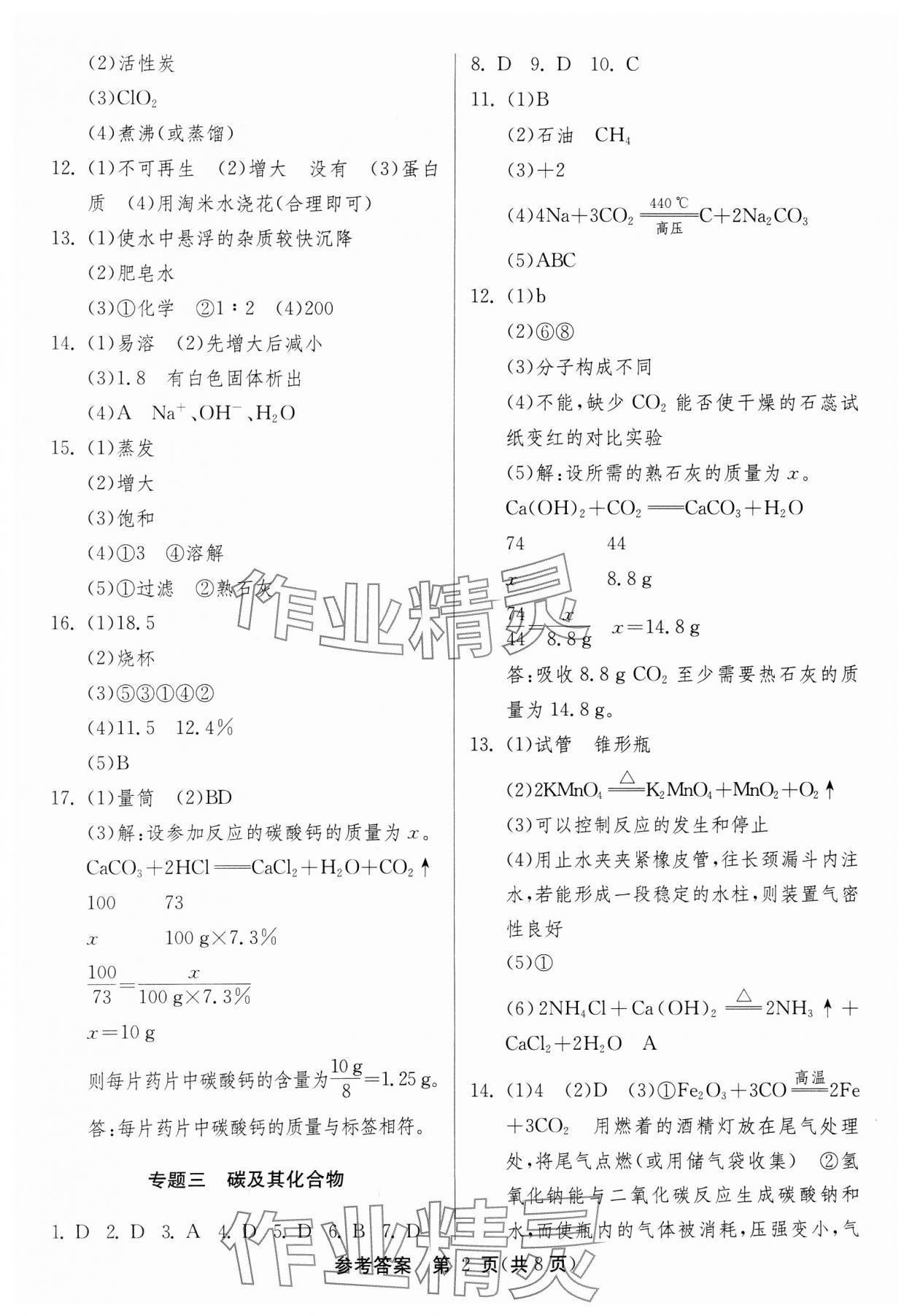 2025年中考复习指南专题强化训练卷化学 第2页