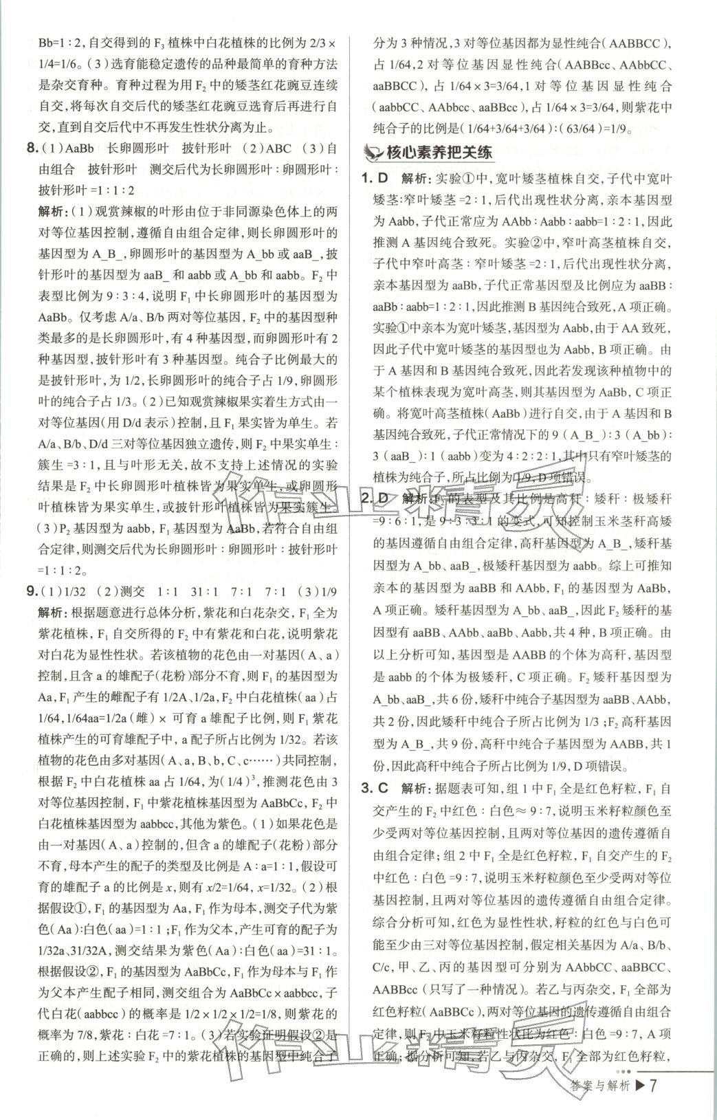 2026年把關(guān)題高中生物必修第二冊(cè)人教版&nbsp;第9頁(yè)