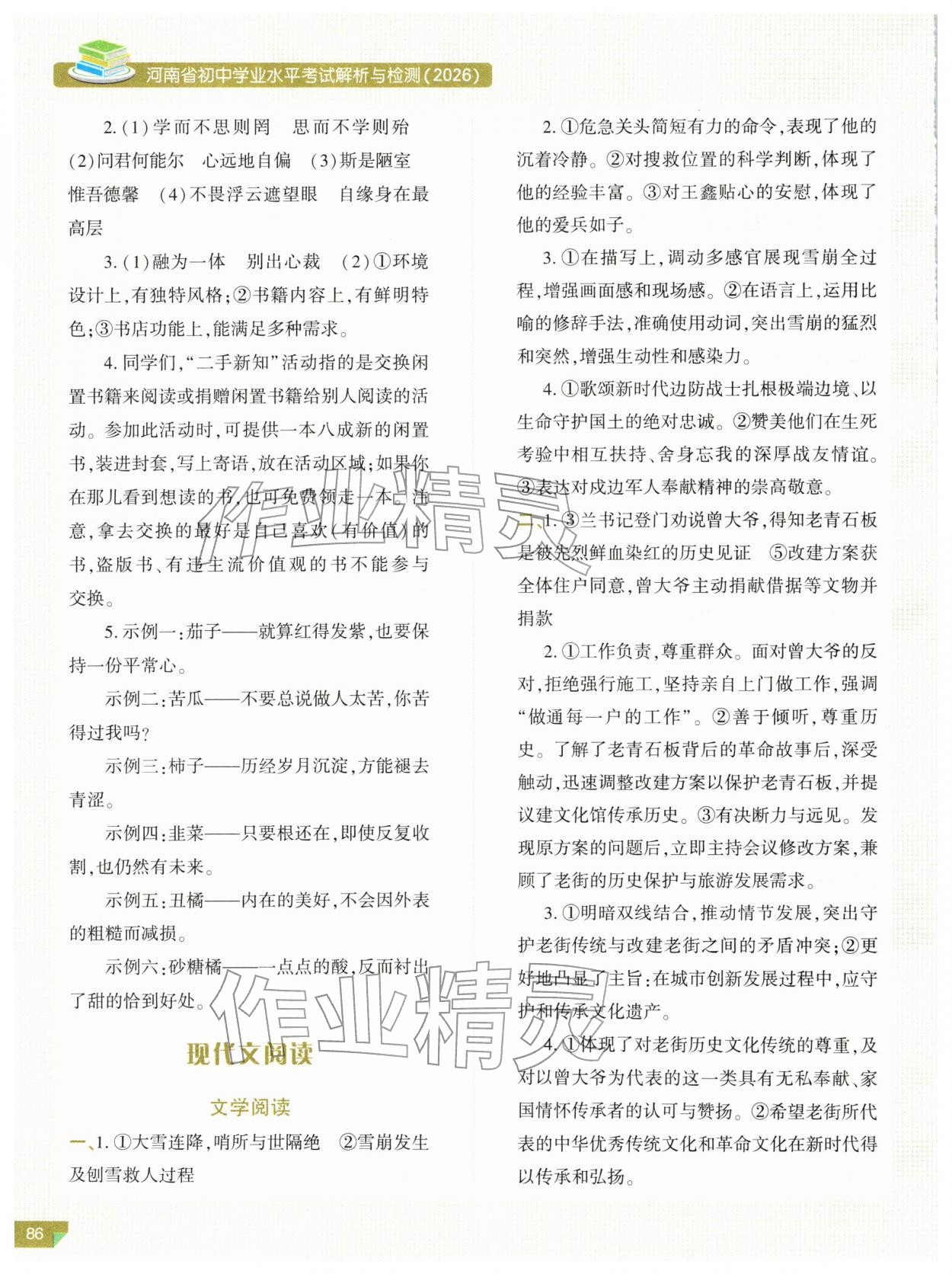 2026年河南省初中学业水平考试解析与检测语文上册&nbsp;参考答案第3页