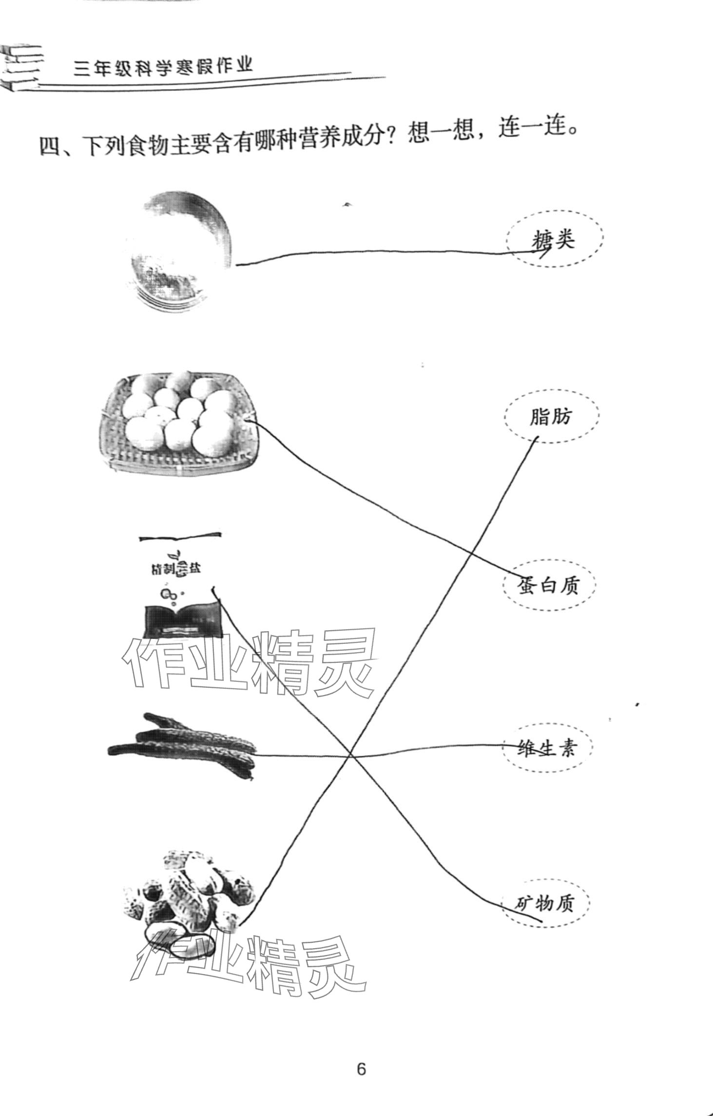 2024年寒假作业长江少年儿童出版社三年级科学人教版 第6页