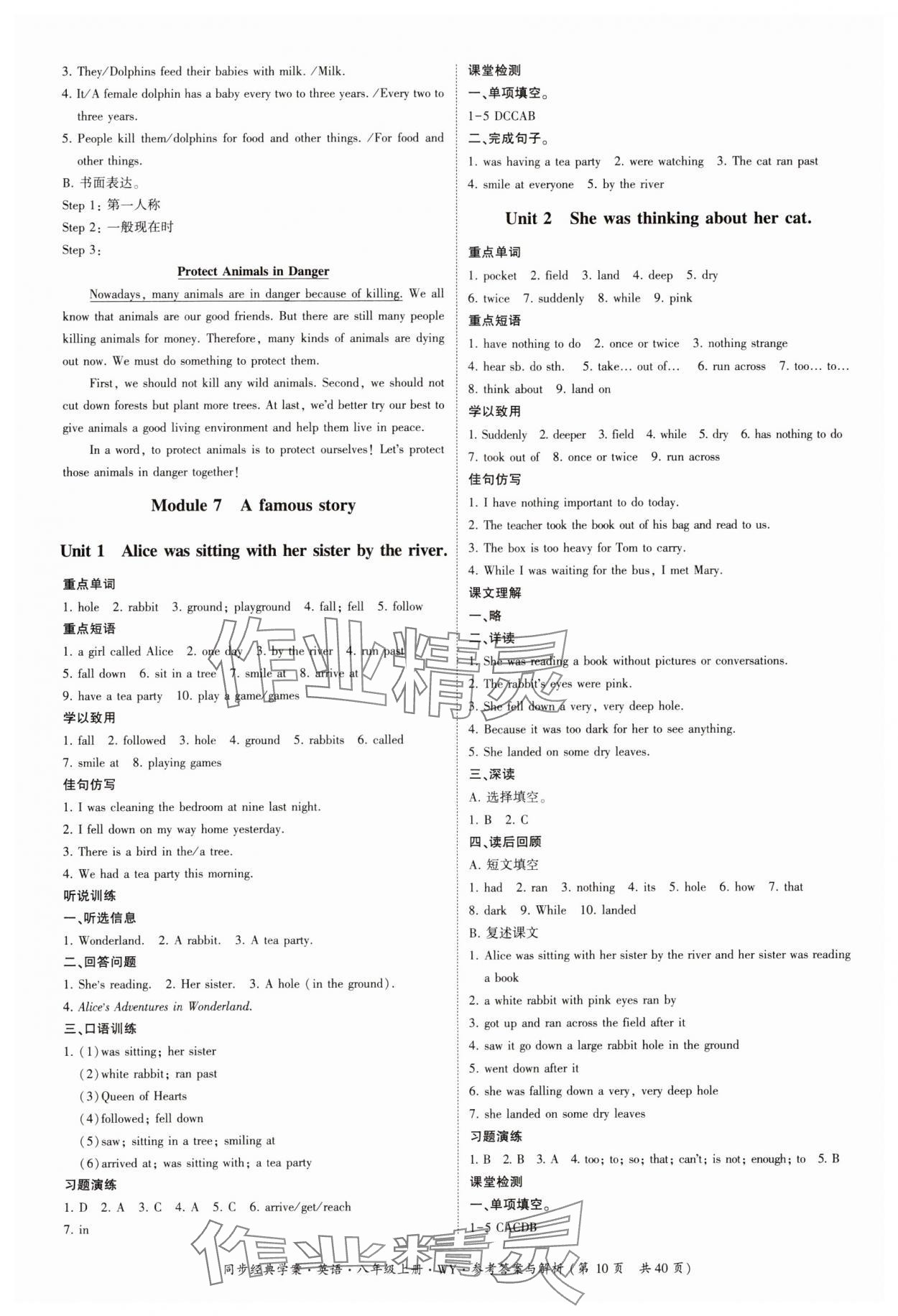 2023年同步經(jīng)典學(xué)案八年級英語上冊外研版 第10頁