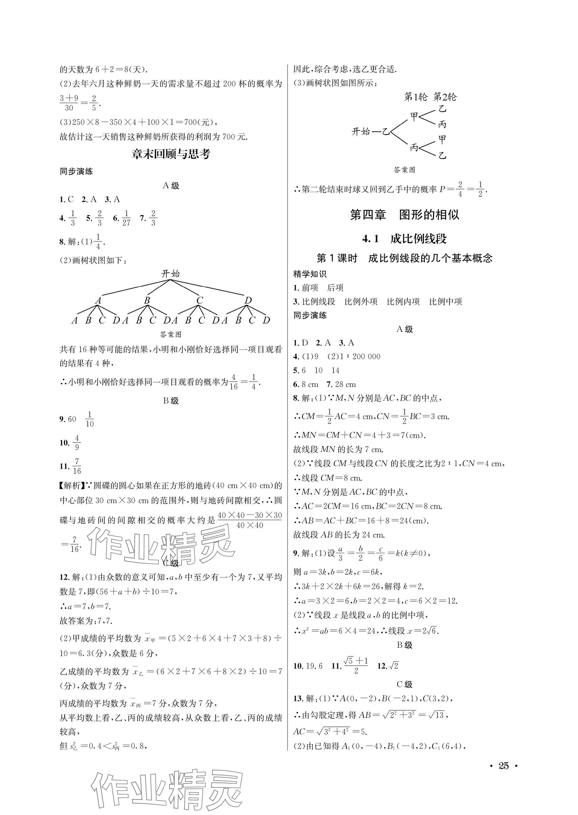 2025年蓉城学霸九年级数学全一册北师大版 参考答案第25页