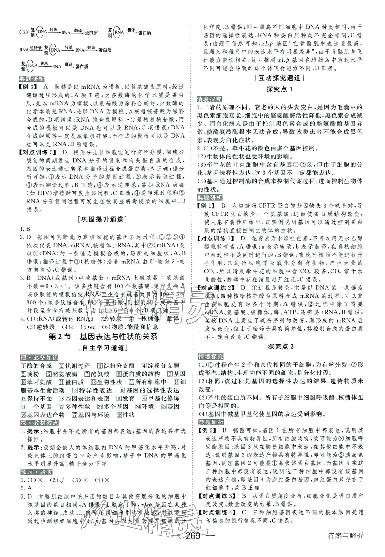 2024年綠色通道高中生物必修2人教版 第17頁