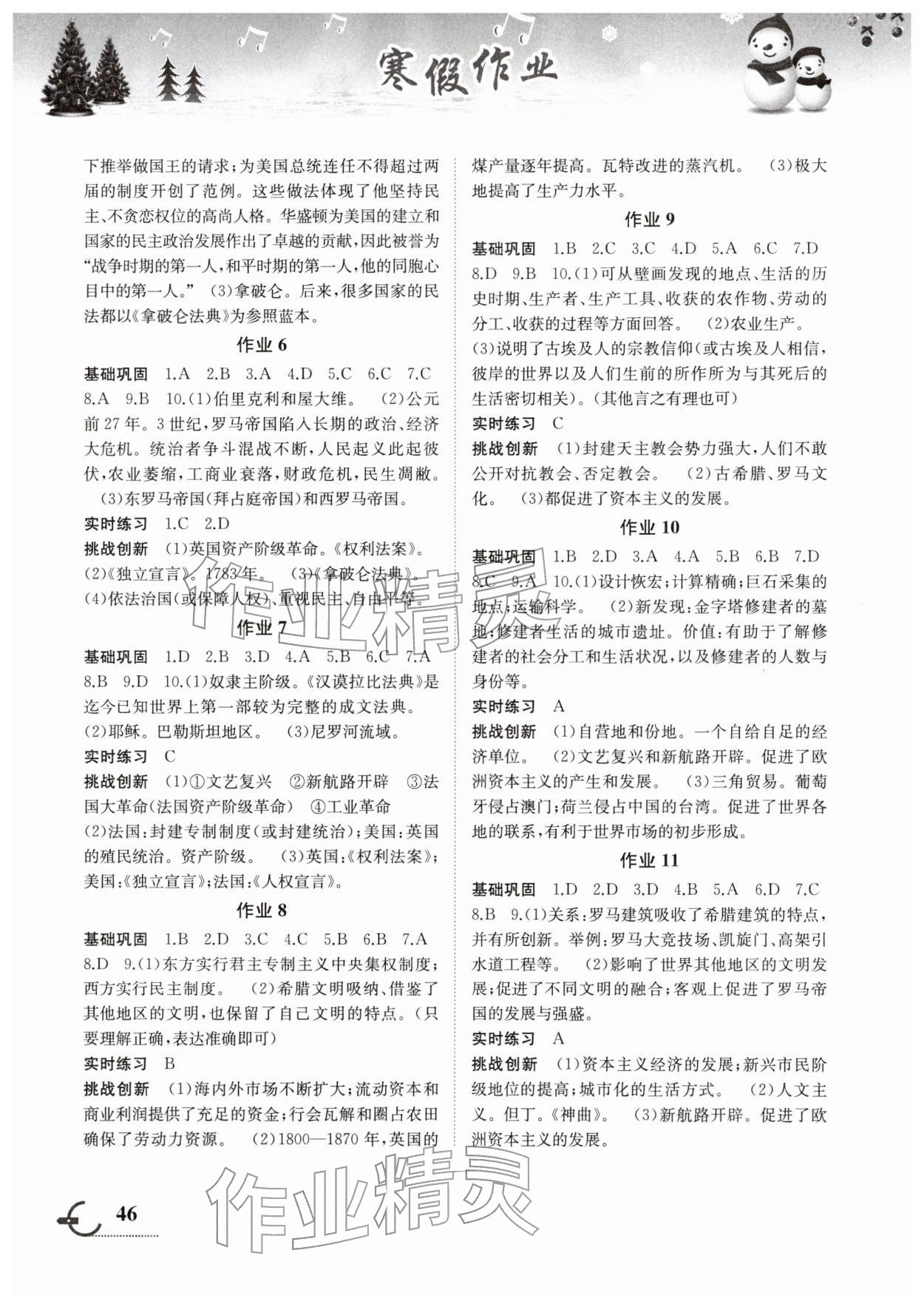 2026年寒假作业湖南教育出版社九年级历史&nbsp;第2页