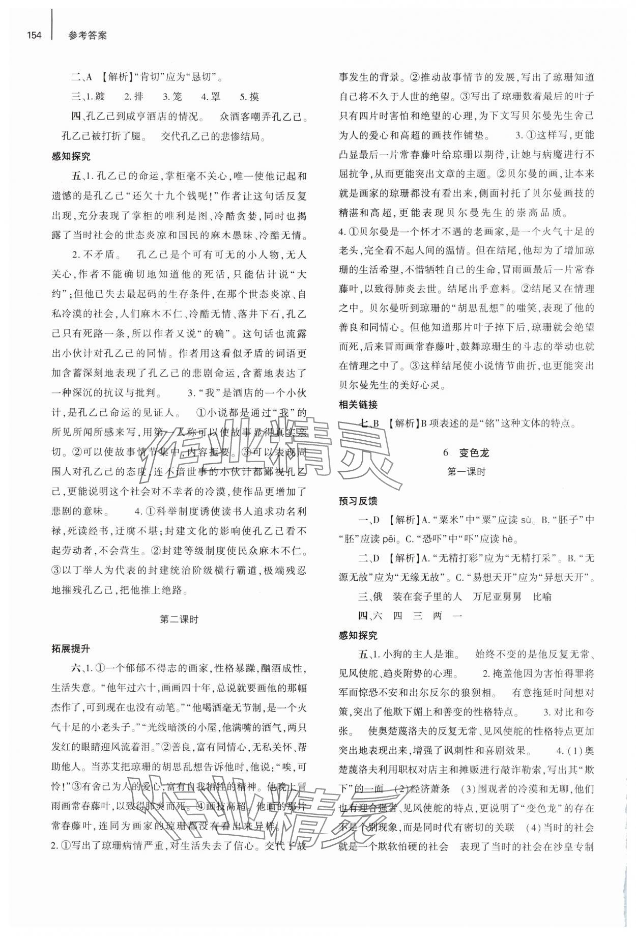2025年同步練習(xí)冊大象出版社九年級語文下冊人教版 參考答案第3頁