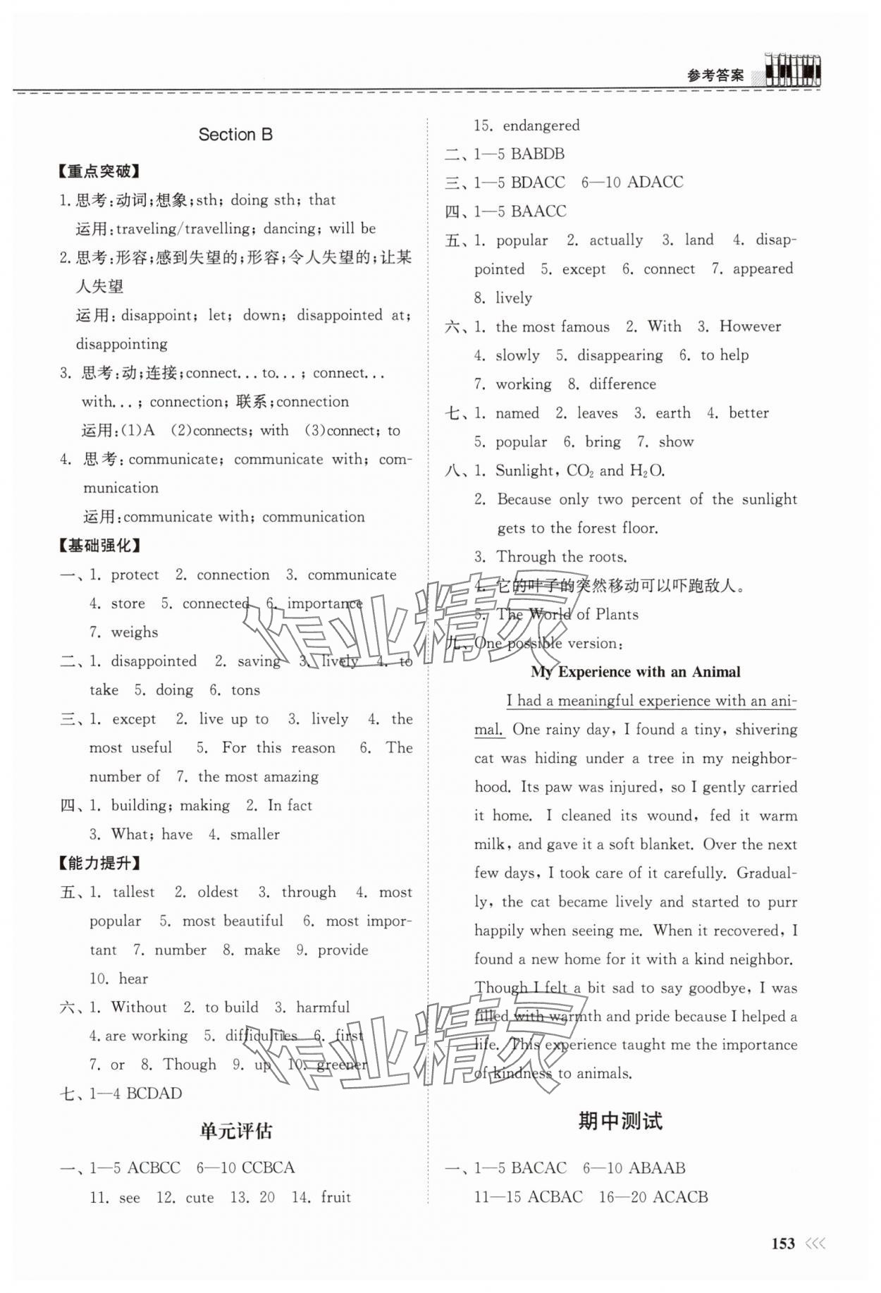 2025年同步練習(xí)冊山東科學(xué)技術(shù)出版社八年級英語上冊人教版 第6頁