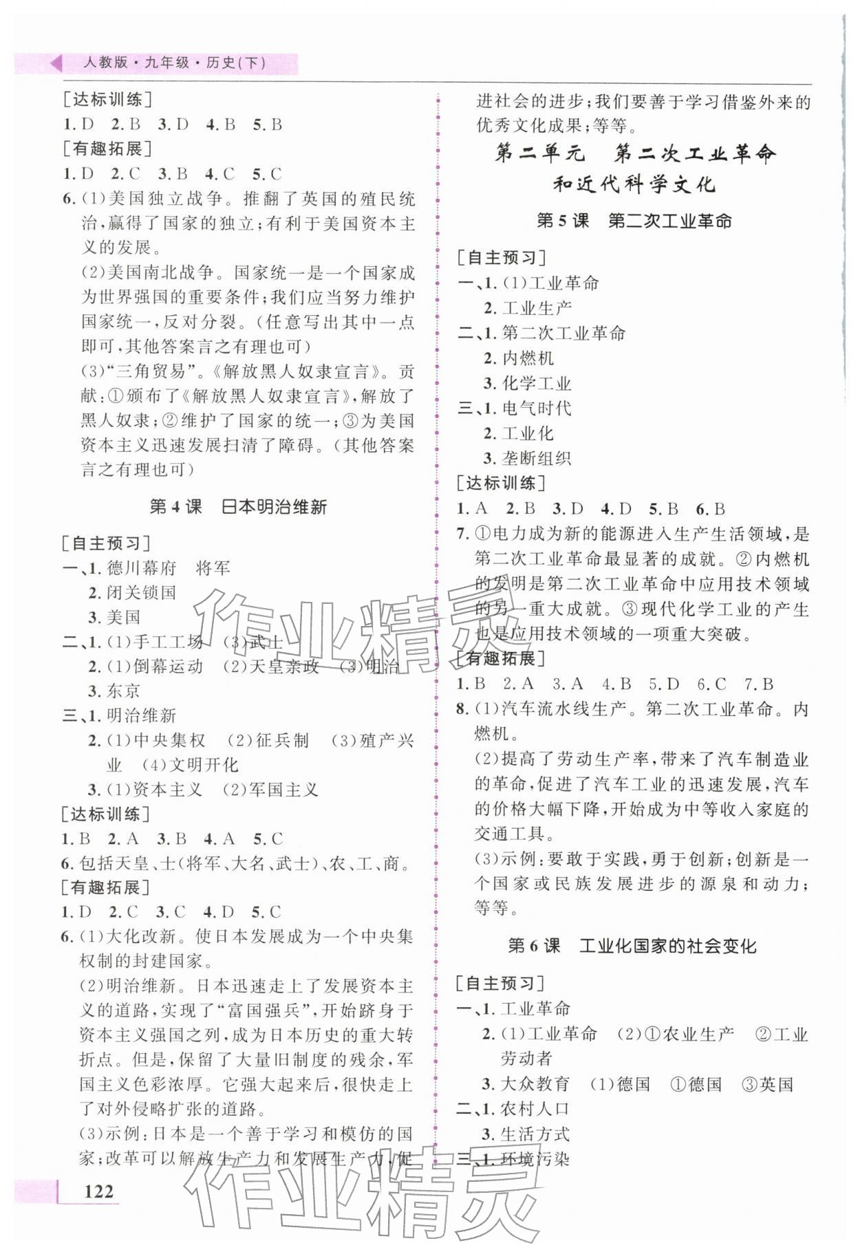 2026年名师点拨配套练习课时作业九年级历史下册人教版&nbsp;第2页