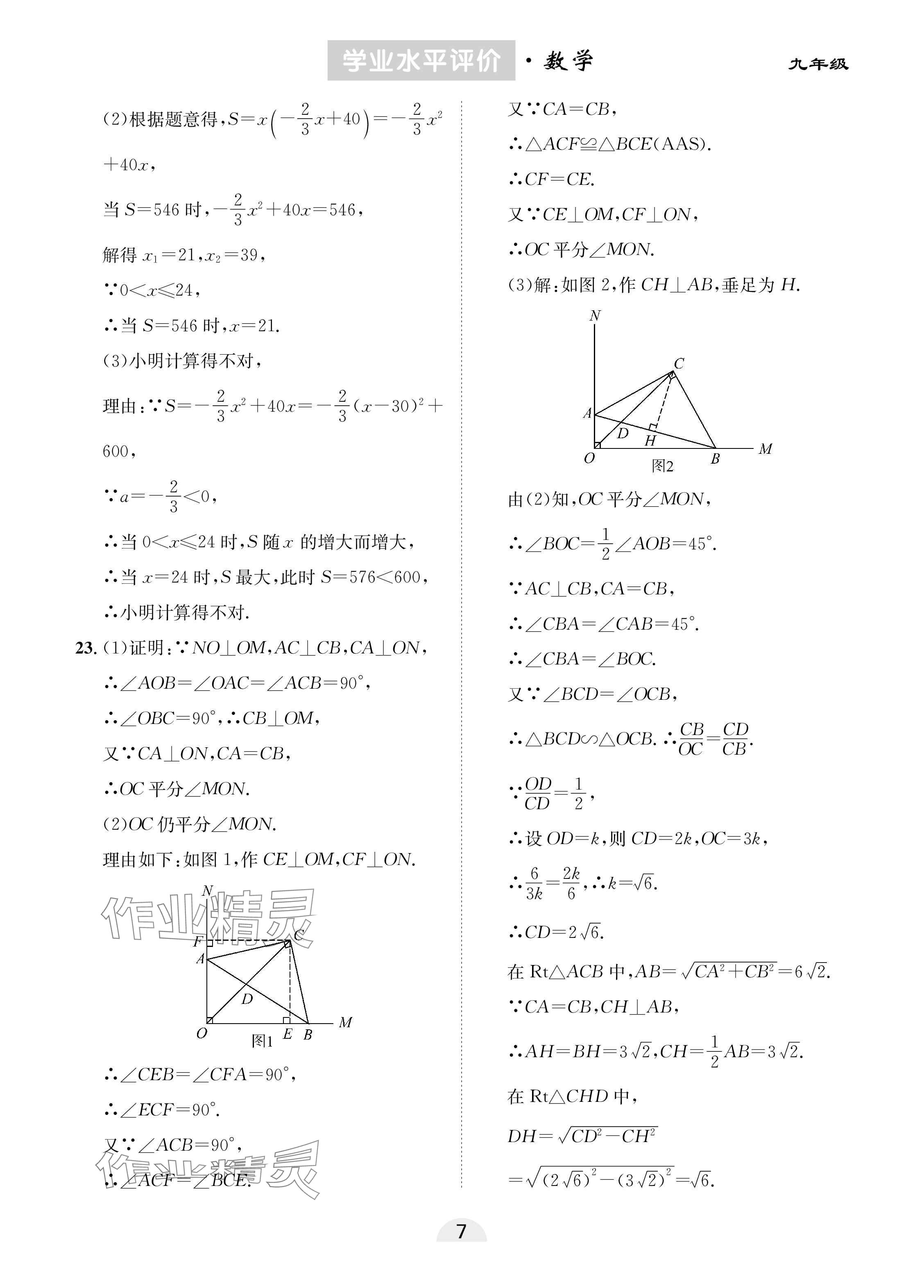 2025年學(xué)業(yè)水平評(píng)價(jià)九年級(jí)數(shù)學(xué)下冊(cè)人教版 參考答案第7頁(yè)