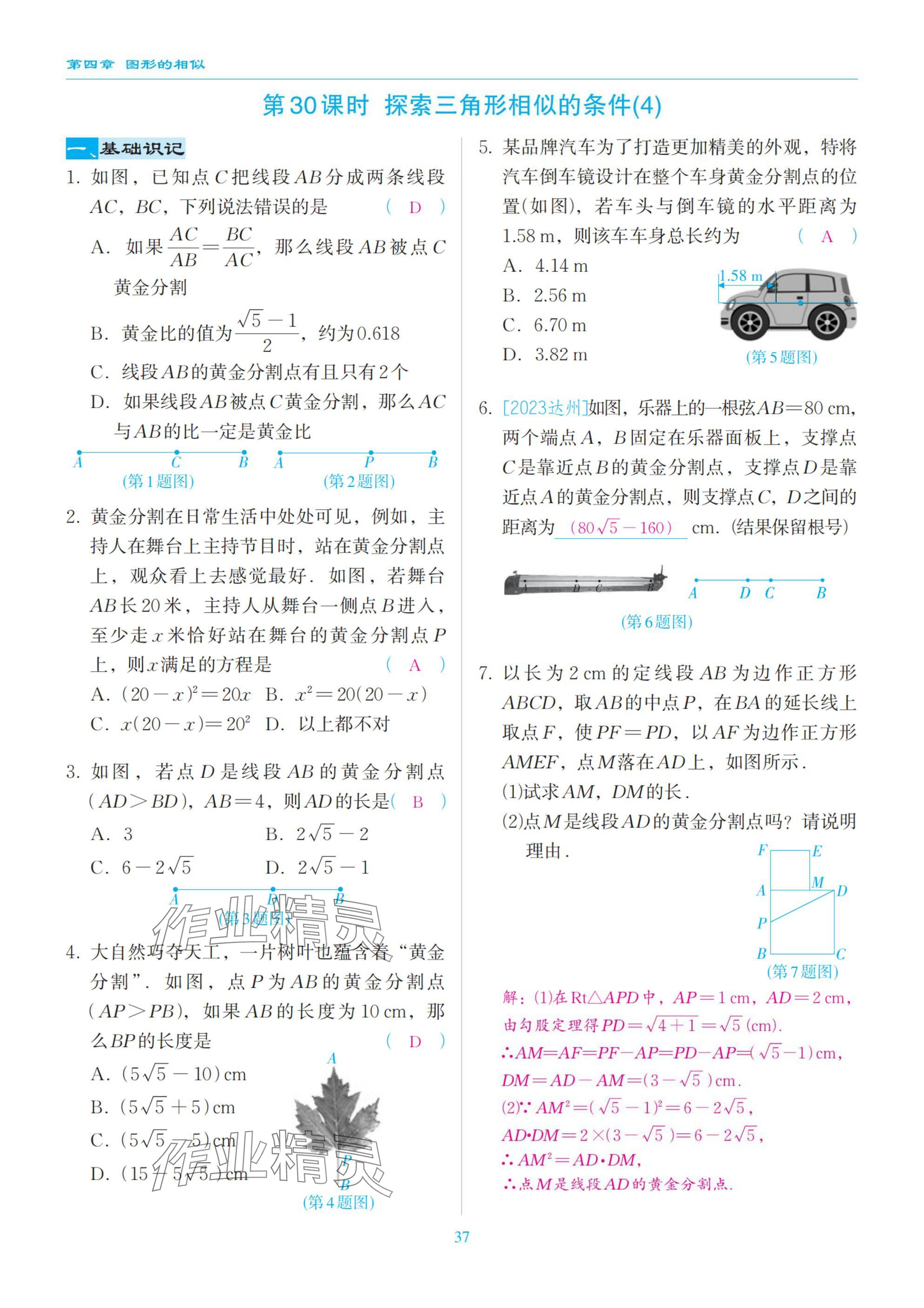 2025年慧學智評九年級數學上冊北師大版 參考答案第37頁