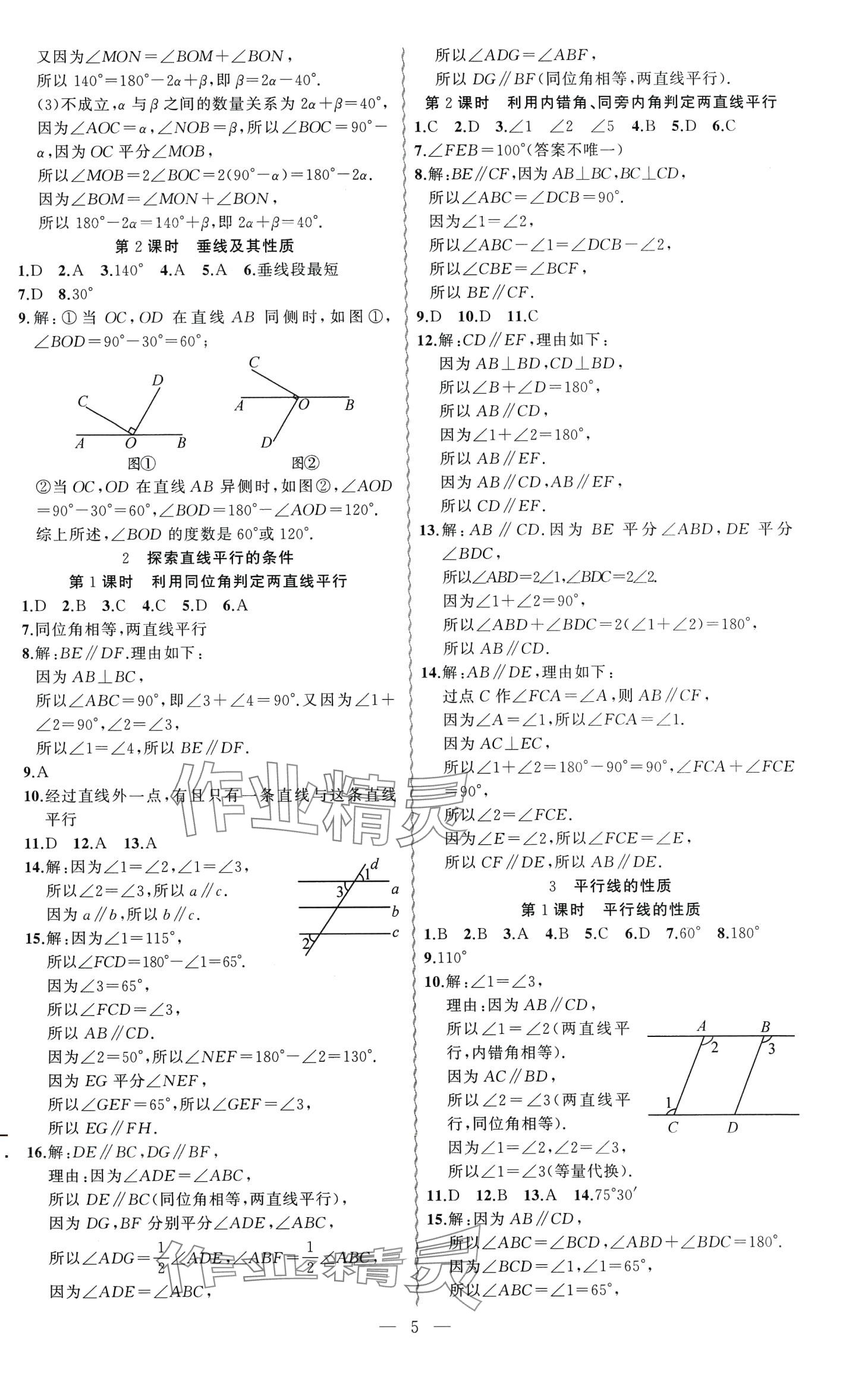 2024年黃岡金牌之路練闖考七年級數(shù)學下冊北師大版 第5頁