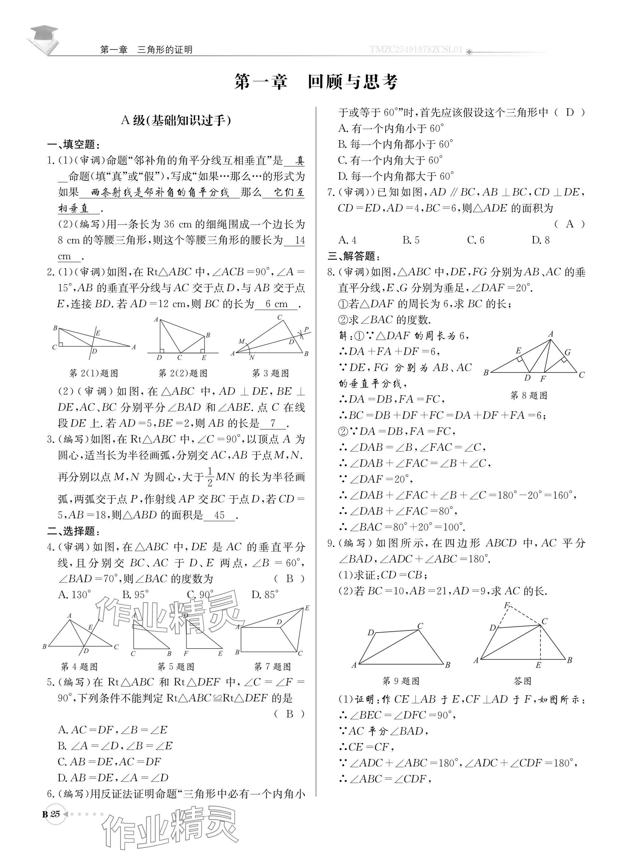 2025年初中数学每日核心导学八年级下册北师大版 参考答案第25页