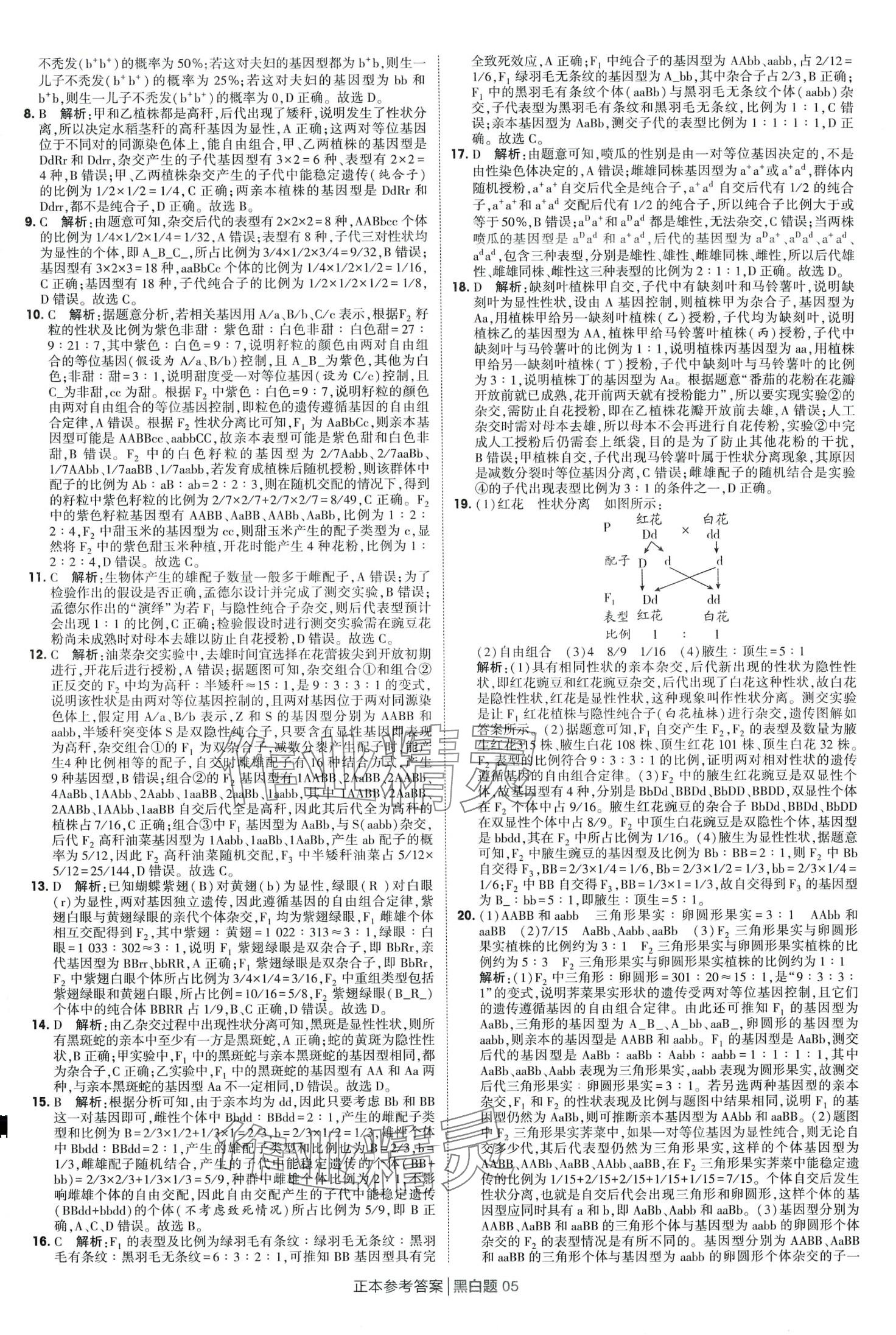 2024年經(jīng)綸學典黑白題高中生物必修第二冊浙科版 第5頁