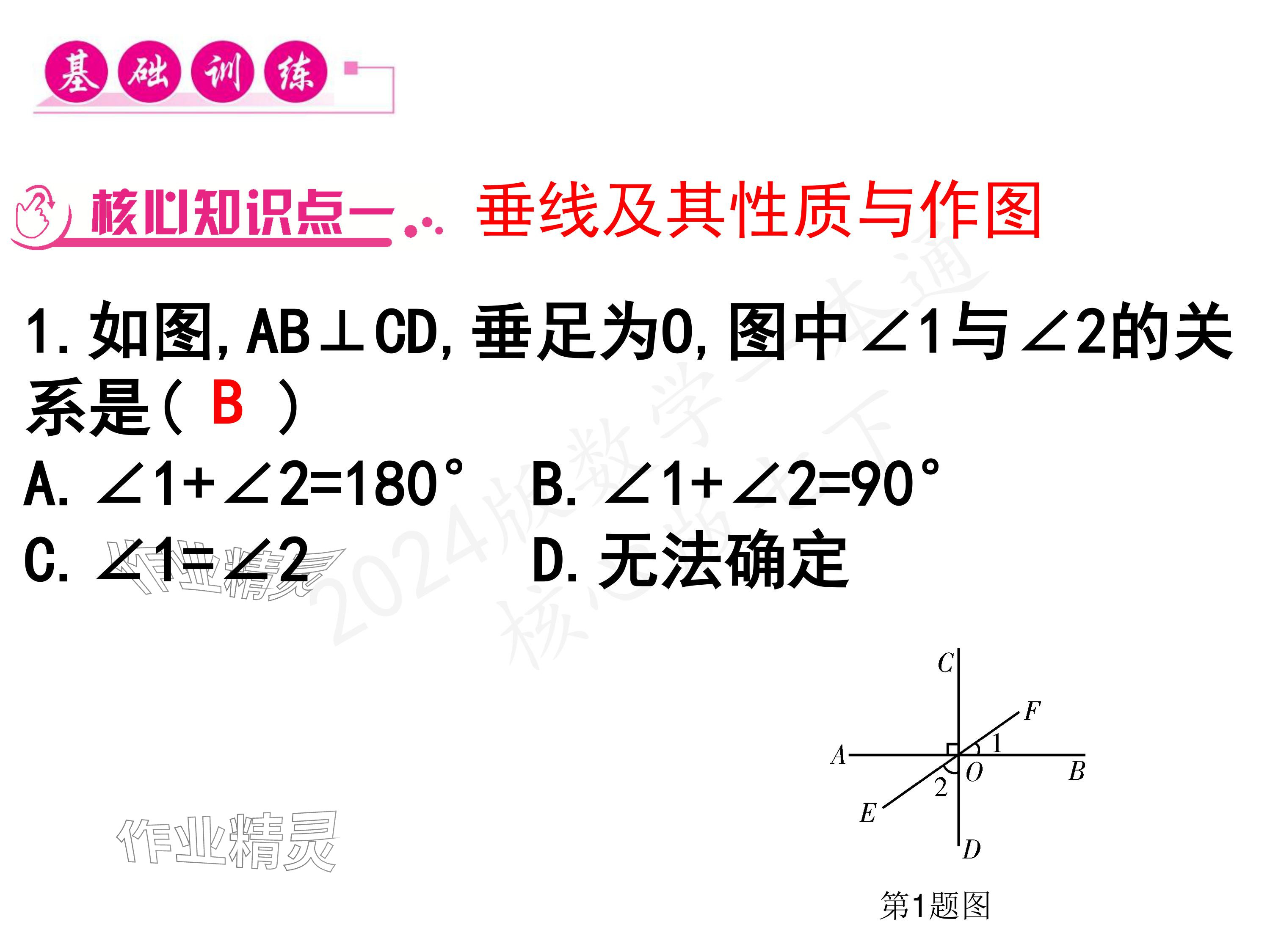 2024年一本通武汉出版社七年级数学下册北师大版 参考答案第39页