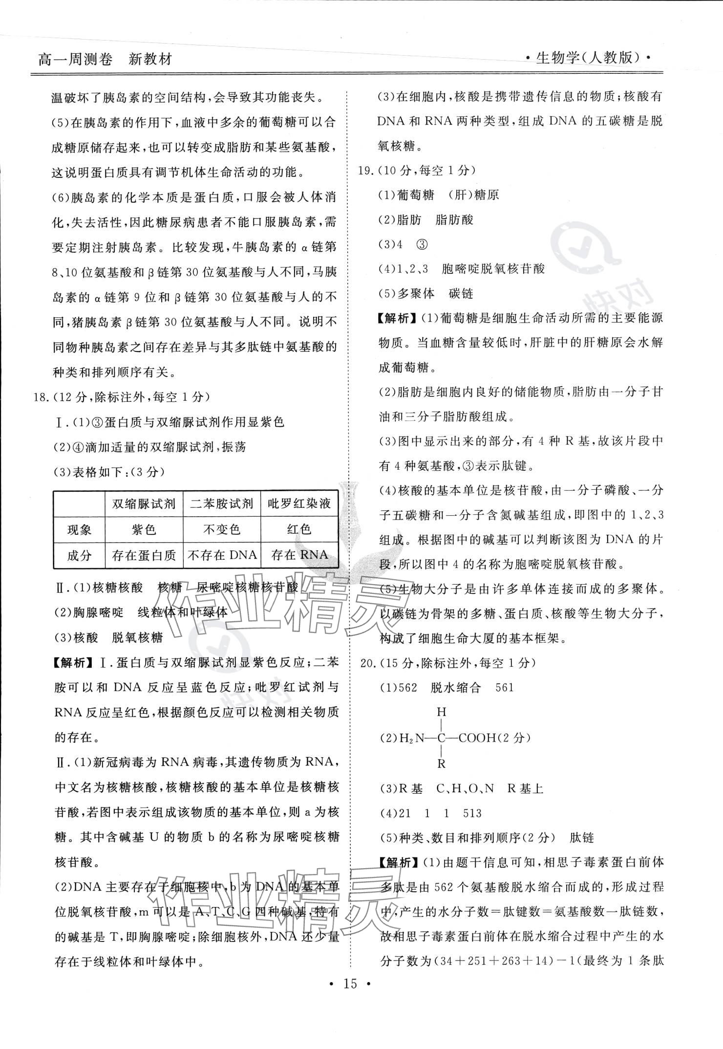 2023年衡水金卷先享題高一生物蘇教版 參考答案第16頁