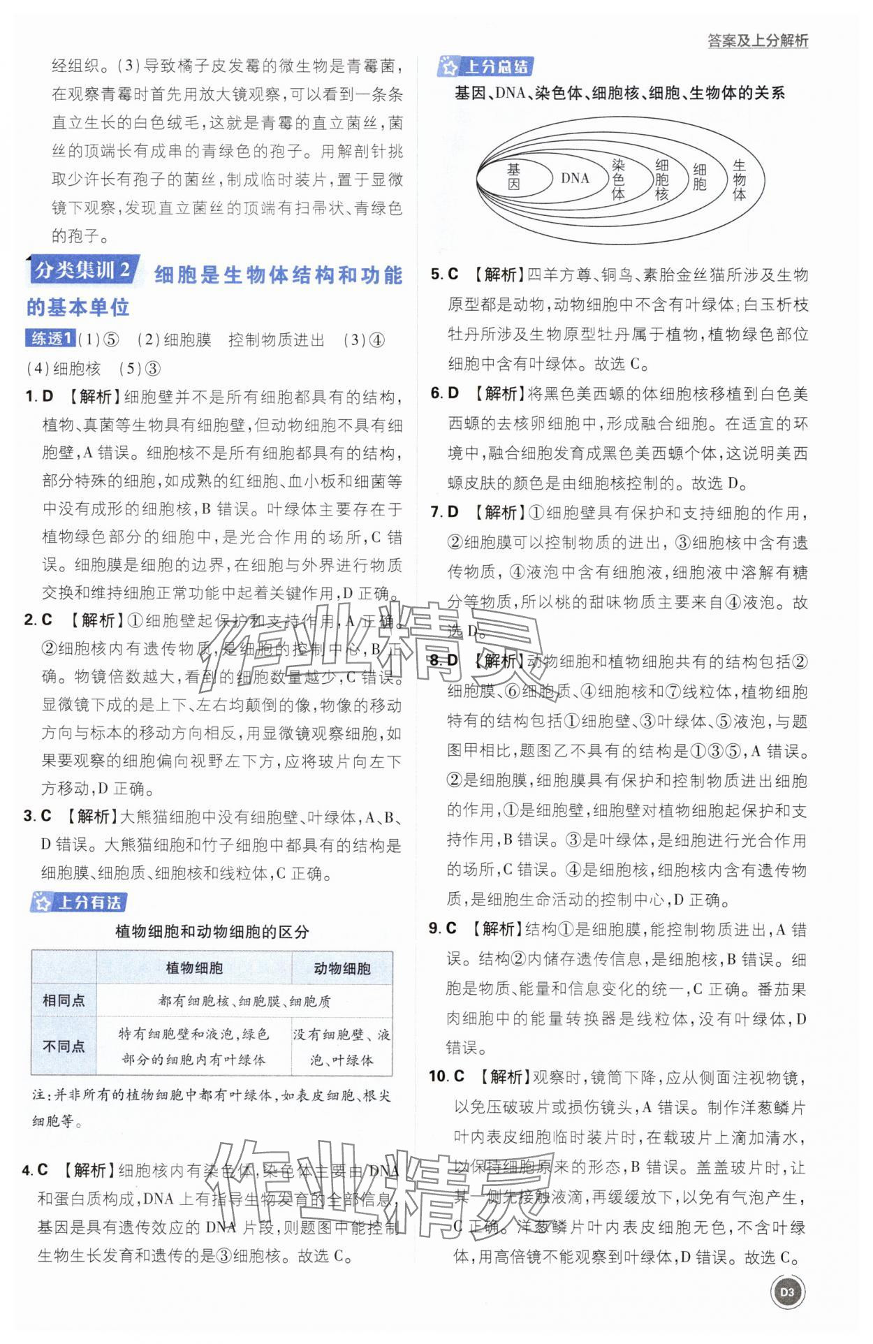 2025年中考真题分类生物&nbsp;第3页