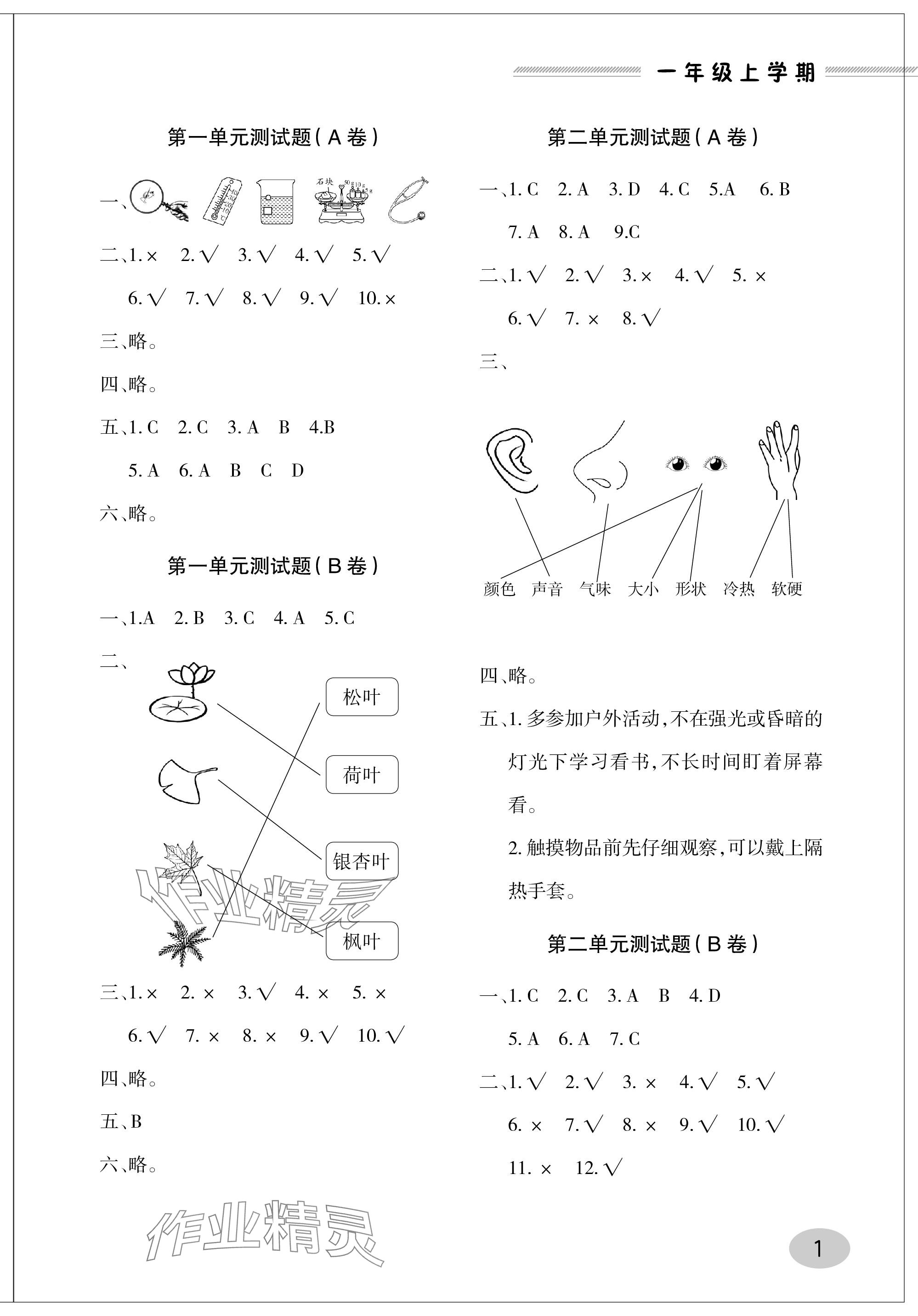 2023年单元自测试卷青岛出版社一年级科学上册青岛版 参考答案第1页