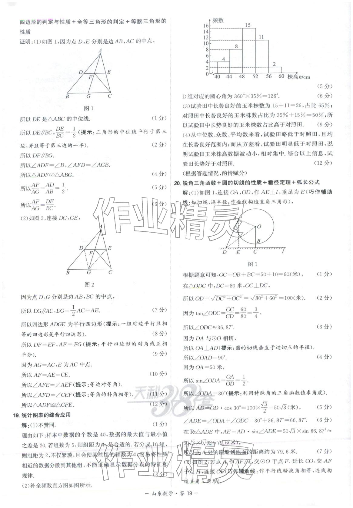 2026年天利38套中考试题精选数学山东专版 第19页