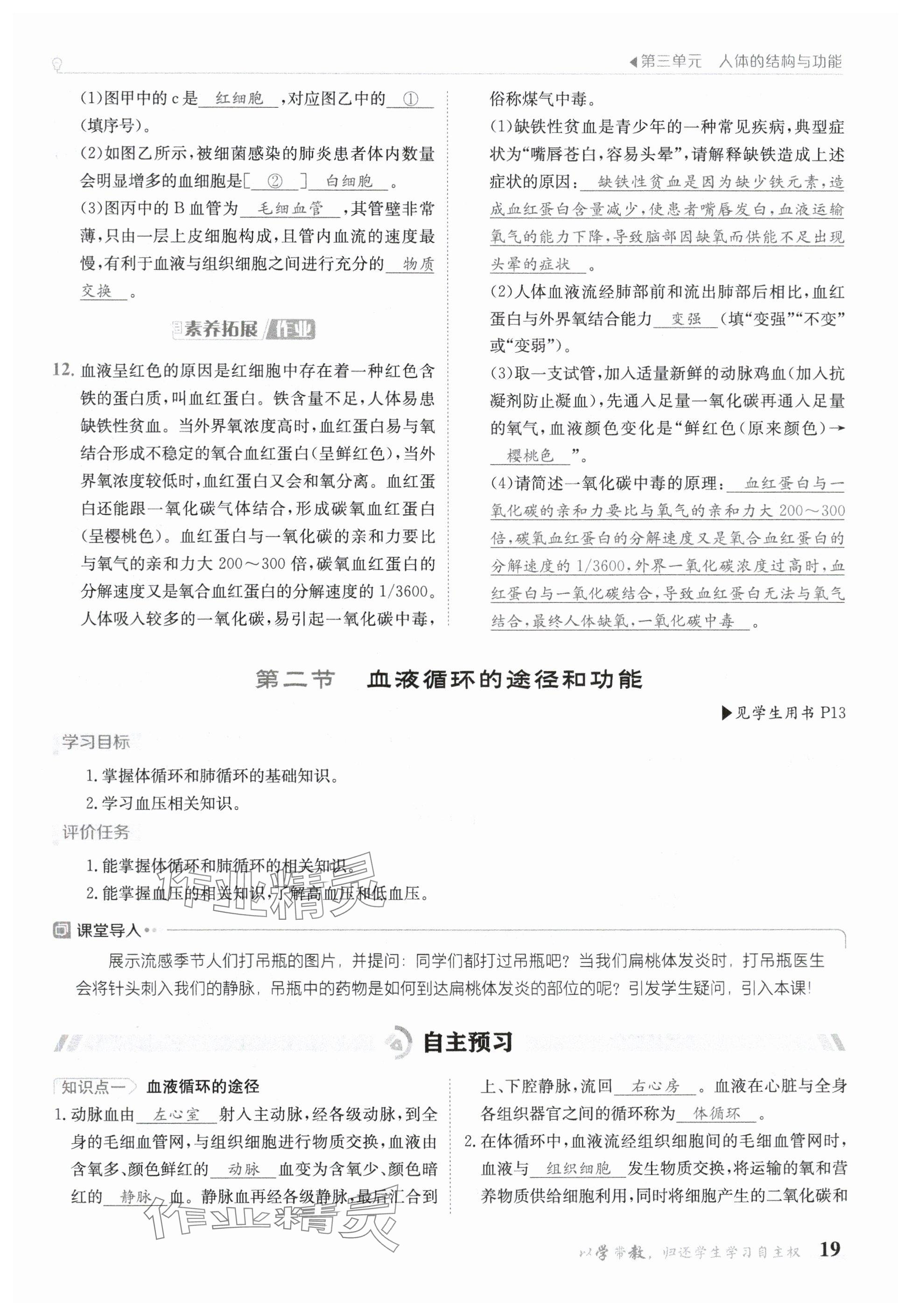 2025年金太陽導學案七年級生物下冊冀少版 參考答案第19頁