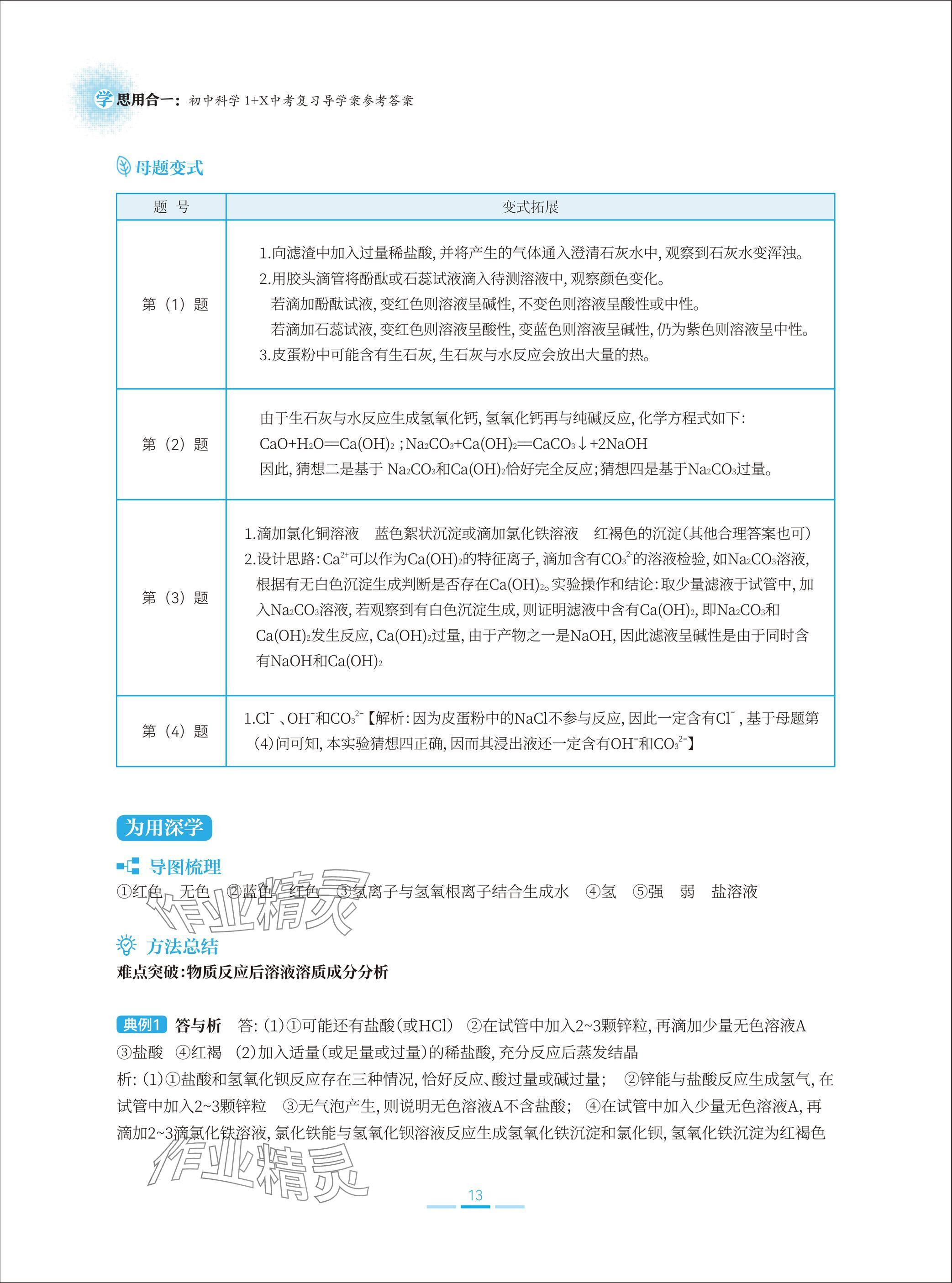 2025年學思用合一初中科學1加X中考復習導學案 參考答案第13頁