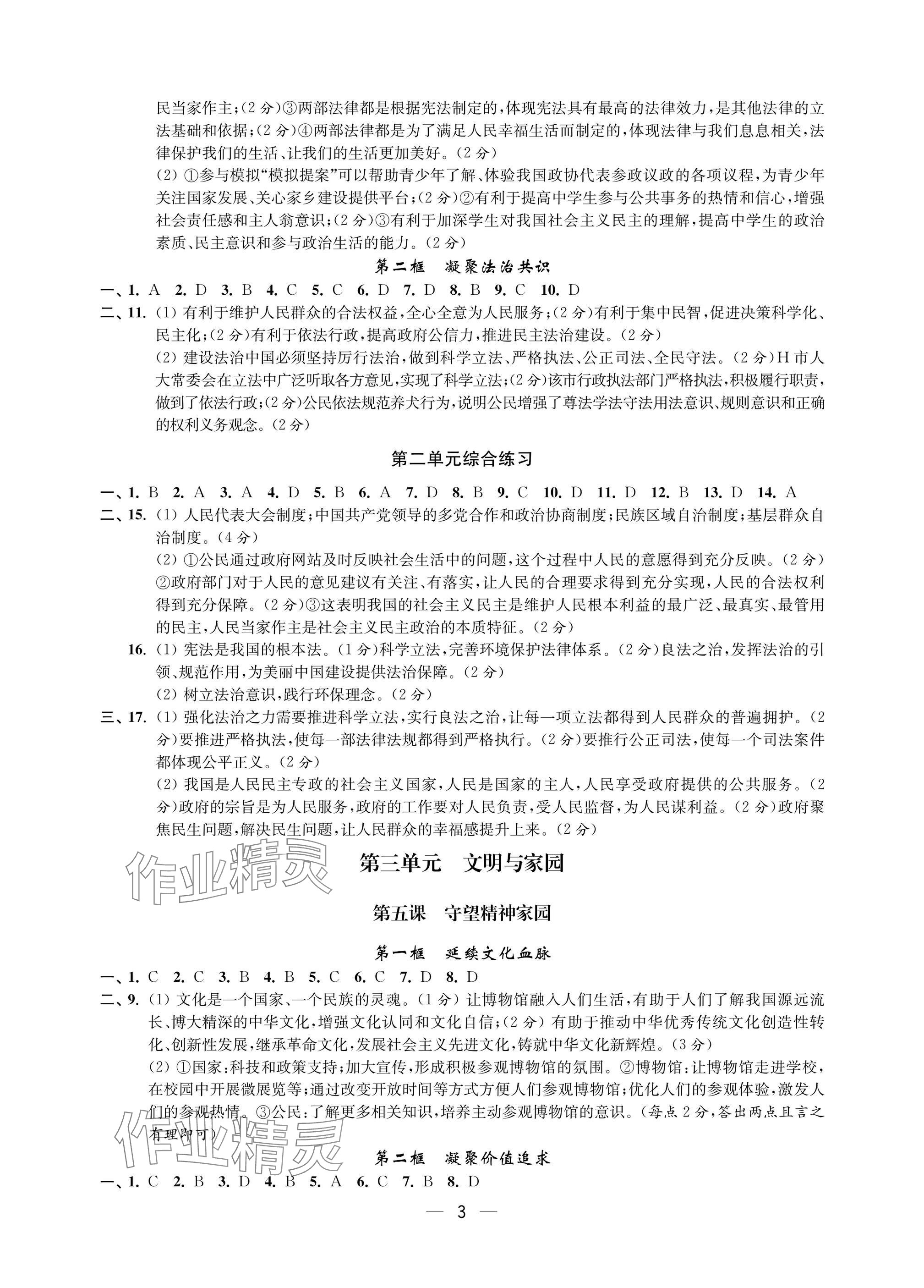 2025年层层递进九年级道德与法治全一册人教版 参考答案第3页