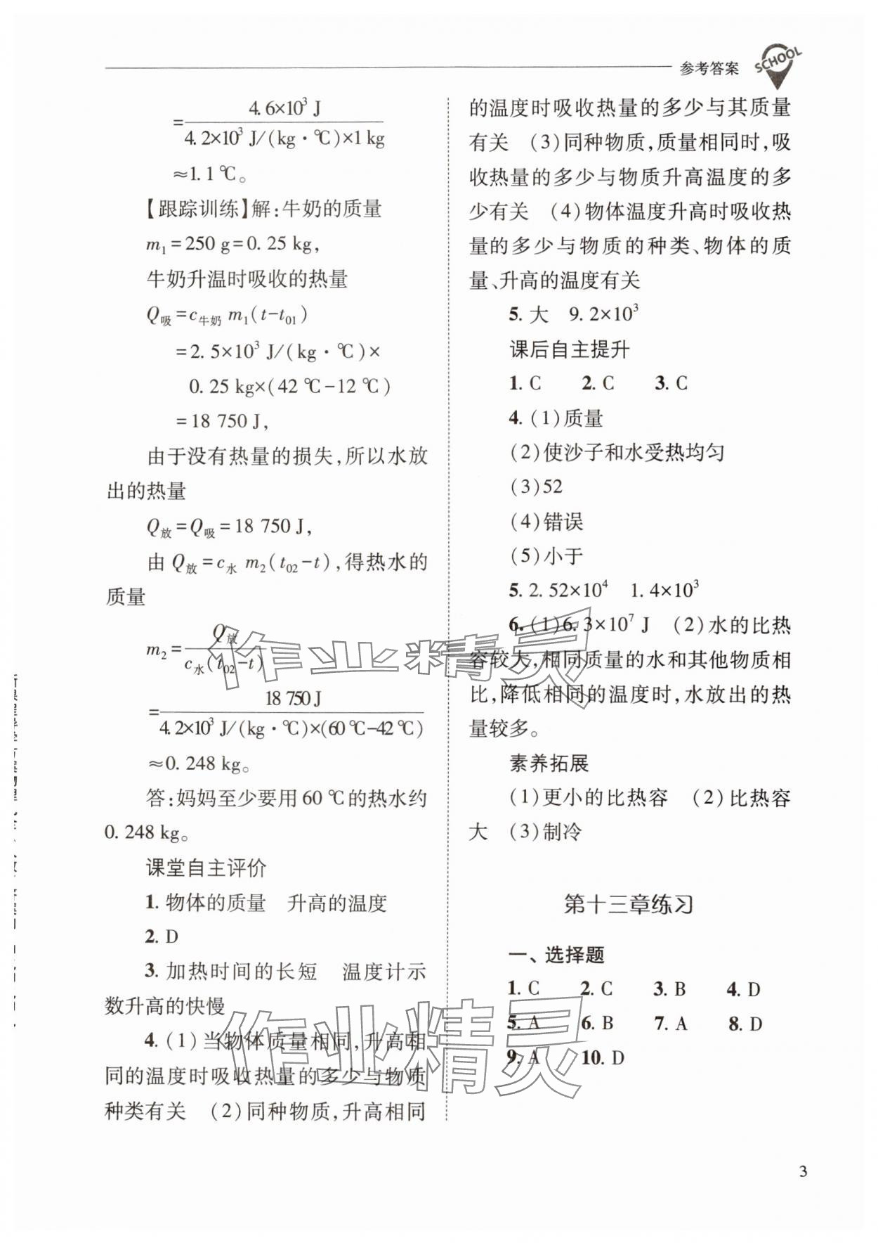 2024年新課程問題解決導(dǎo)學(xué)方案九年級物理全一冊人教版 參考答案第3頁