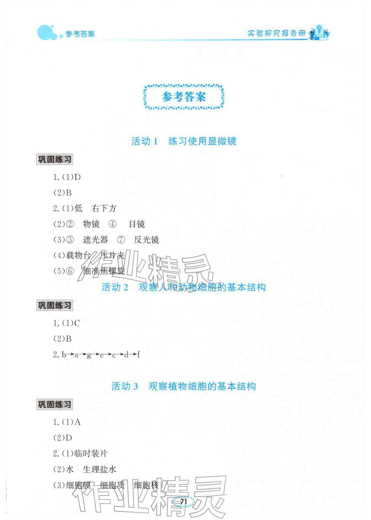 2025年实验探究报告册七年级生物上册北师大版 第1页