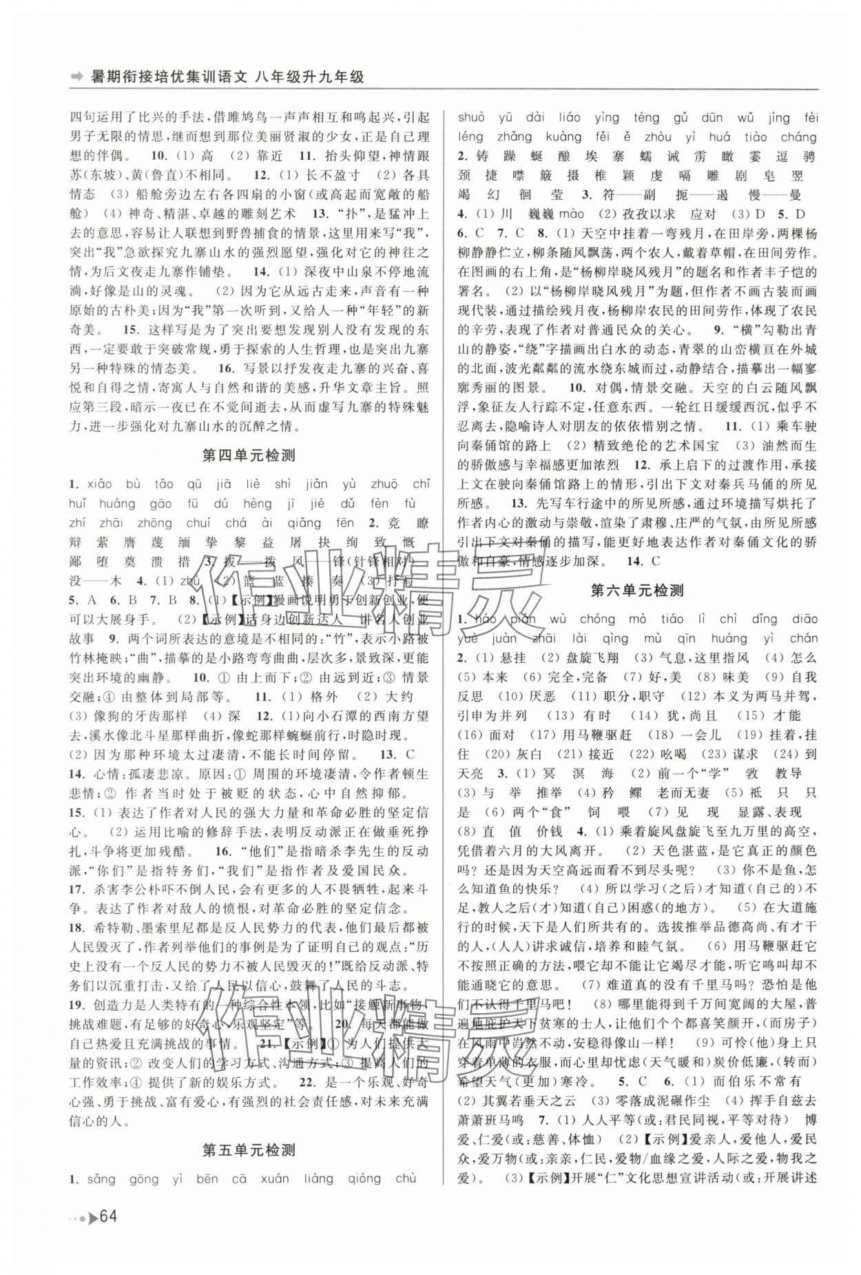 2025年暑期銜接培優(yōu)集訓(xùn)八升九語(yǔ)文 第2頁(yè)