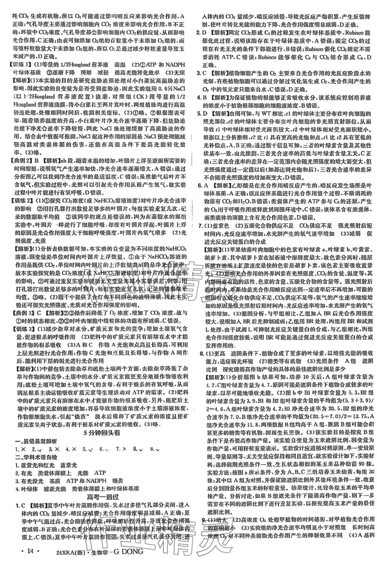 2024年金太阳教育金太阳考案高中生物通用版 第15页