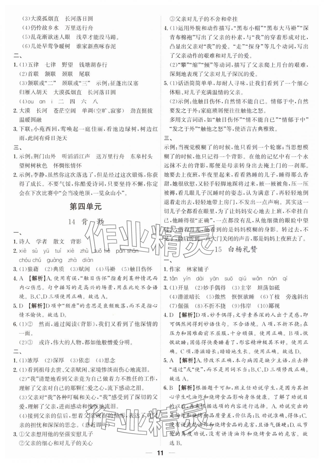 2023年考點(diǎn)專練八年級(jí)語(yǔ)文上冊(cè)人教版深圳專版 第11頁(yè)